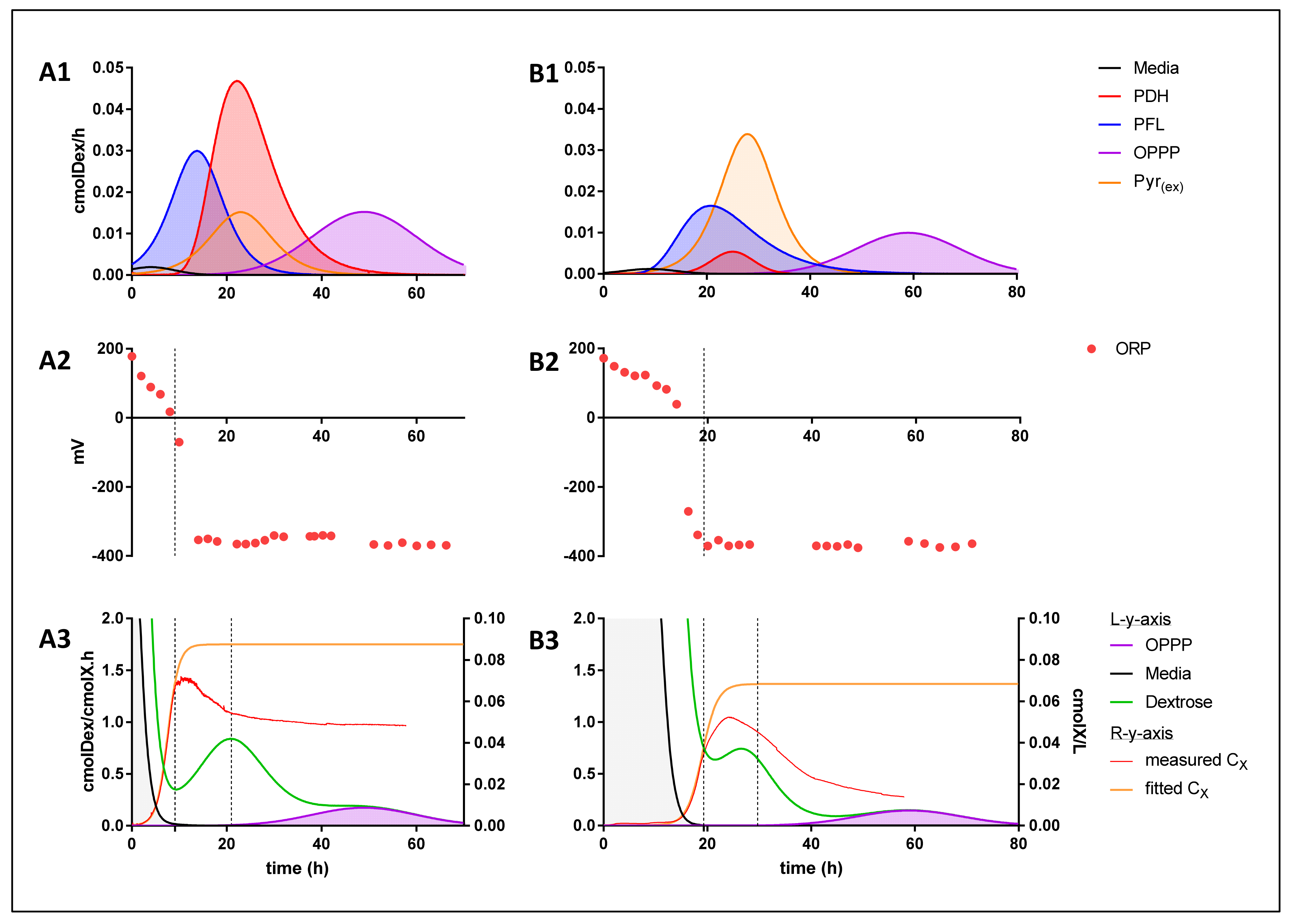 Catalysts 11 01016 g005 Catalysts 11 01016 g005