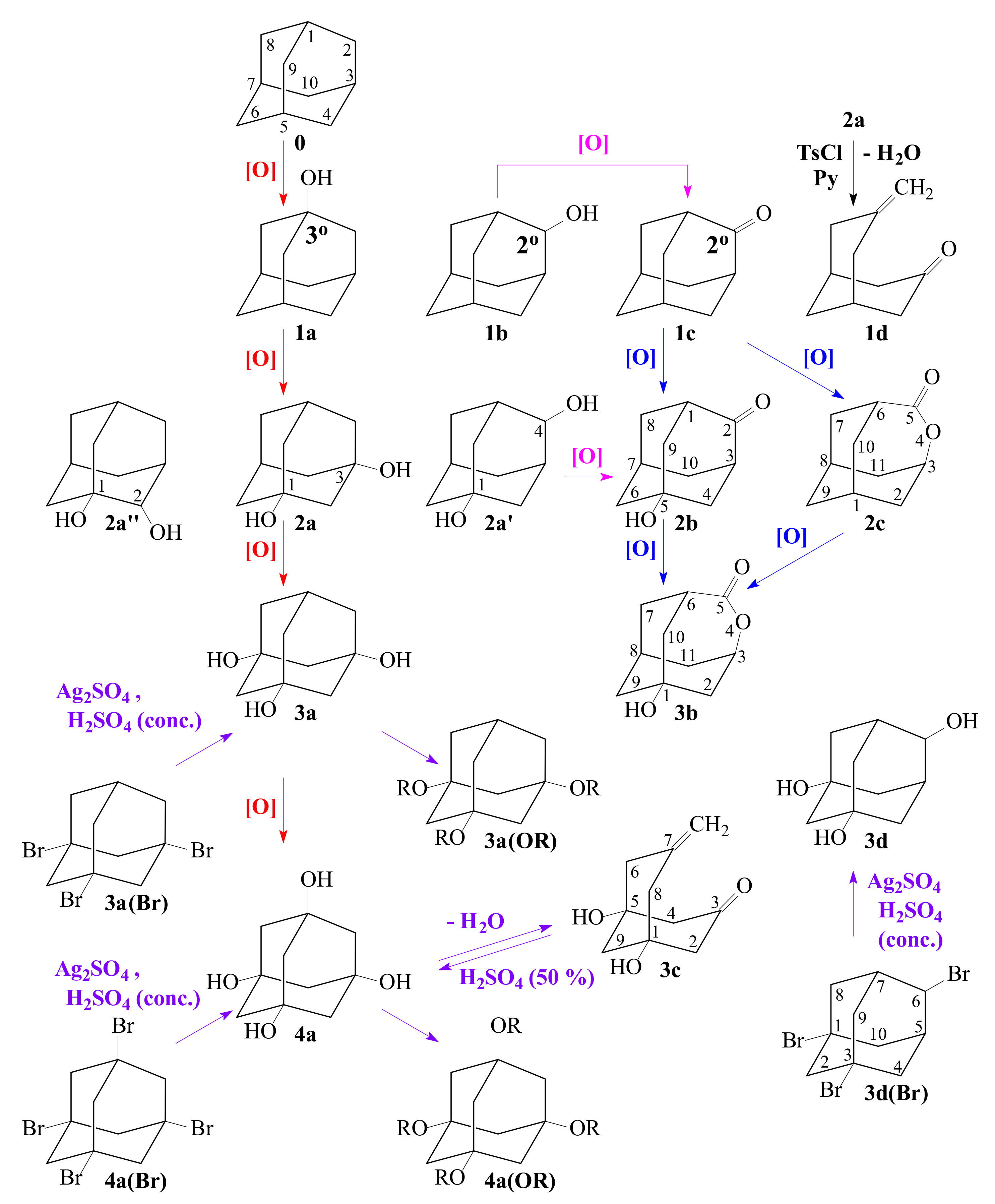 Catalysts 11 01017 sch001