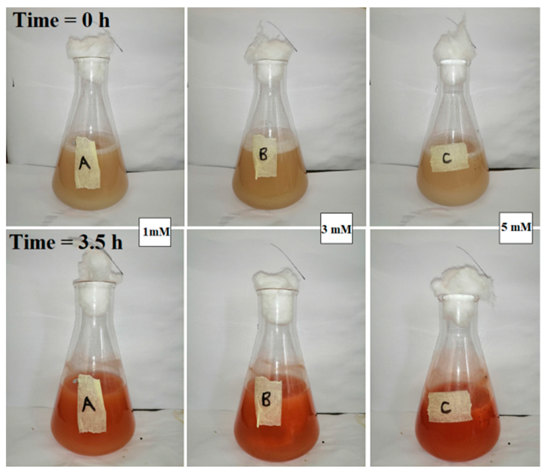 Catalysts 11 01024 g003