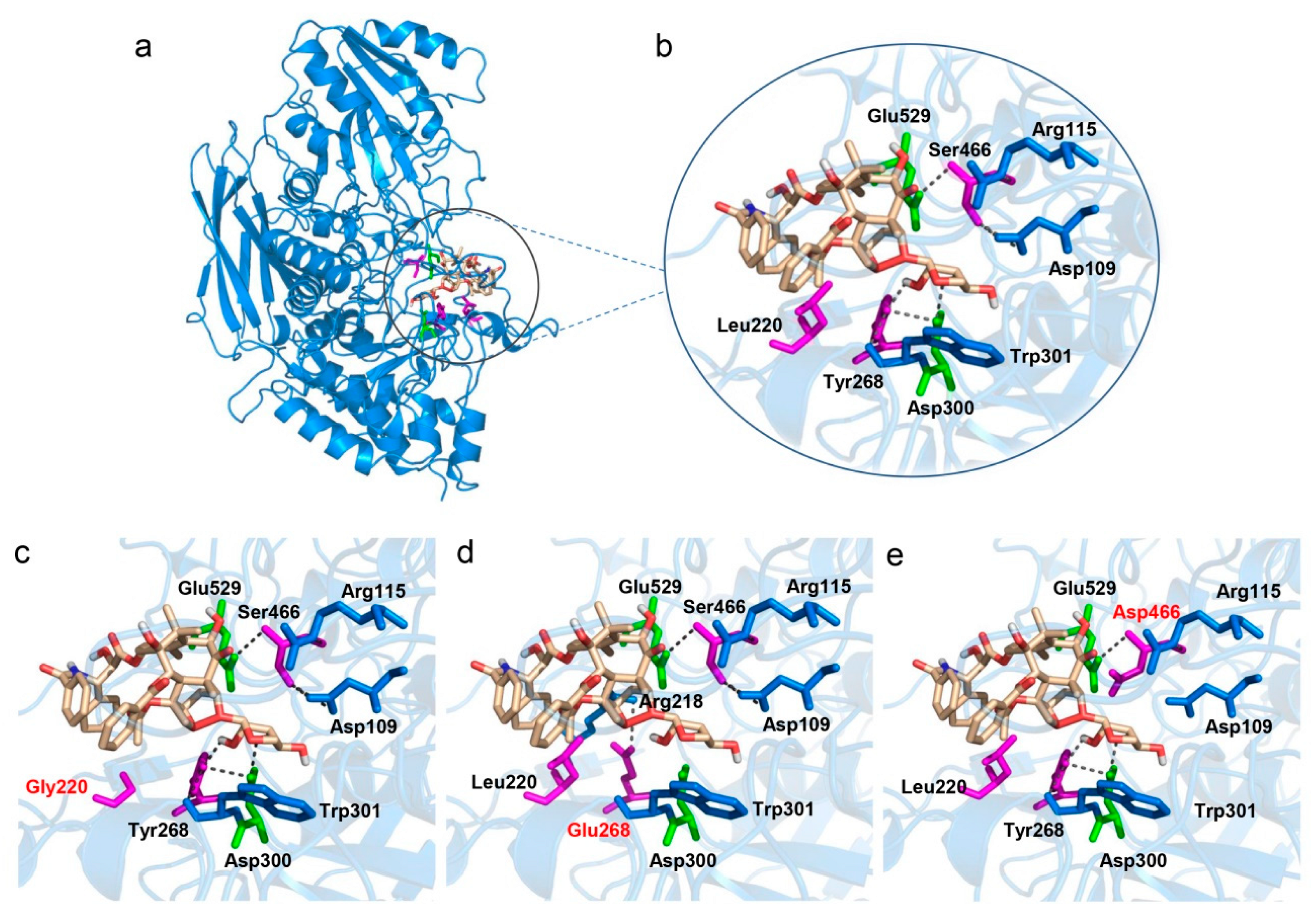 Catalysts 11 01042 g001