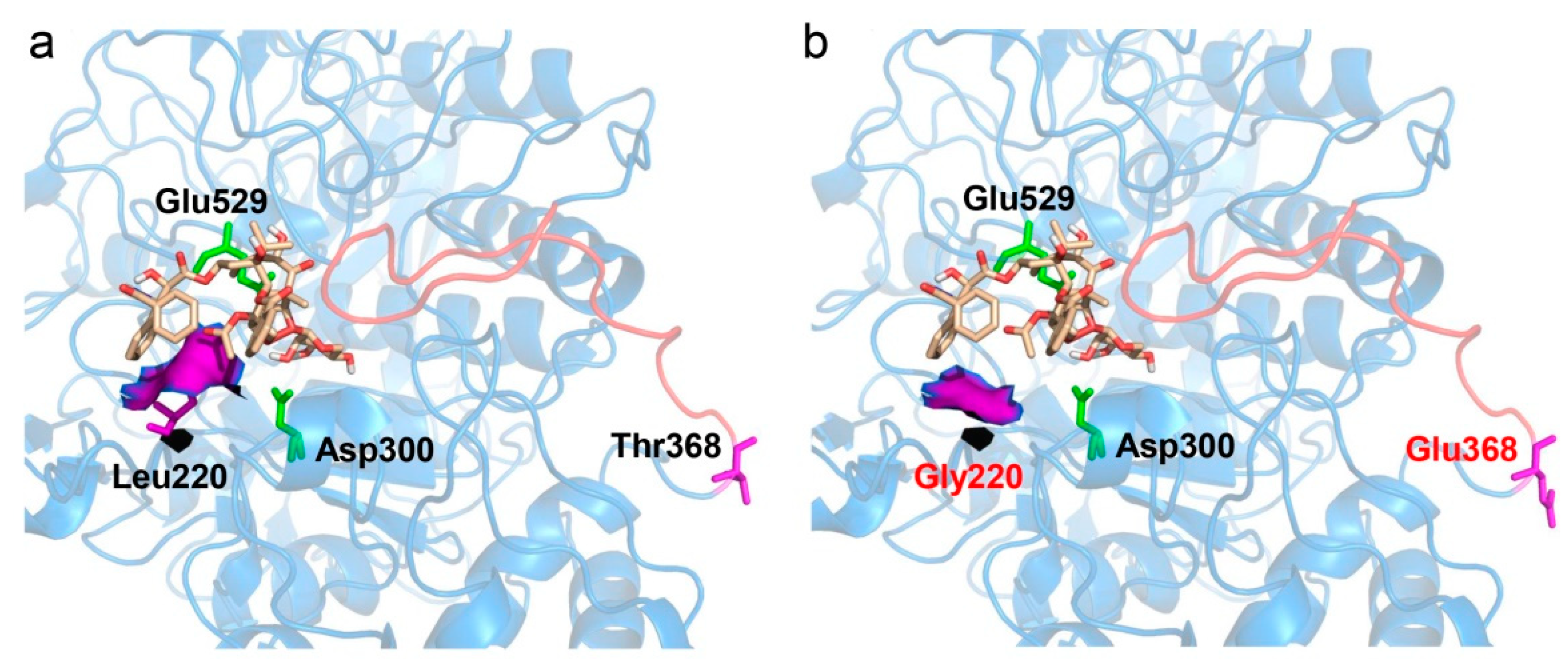 Catalysts 11 01042 g005
