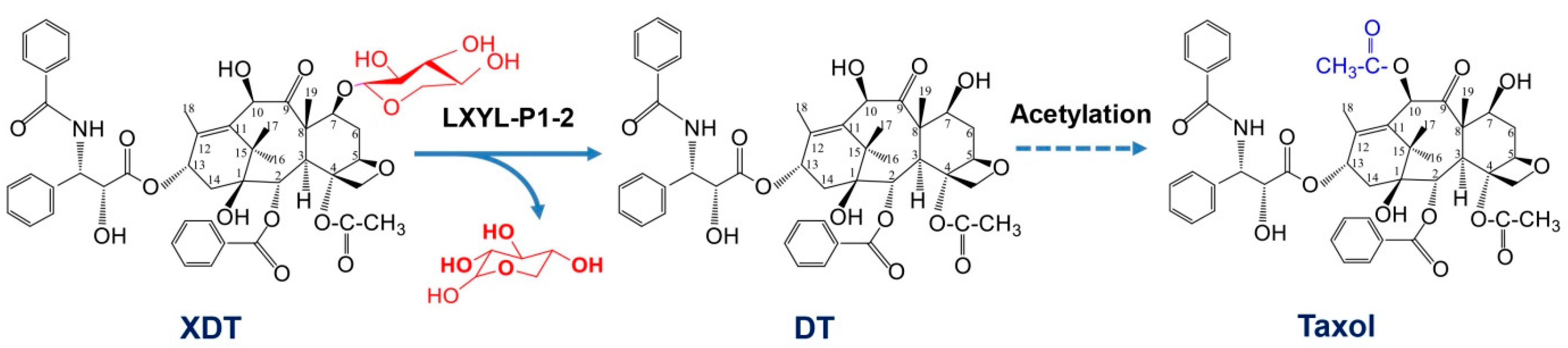Catalysts 11 01042 sch001
