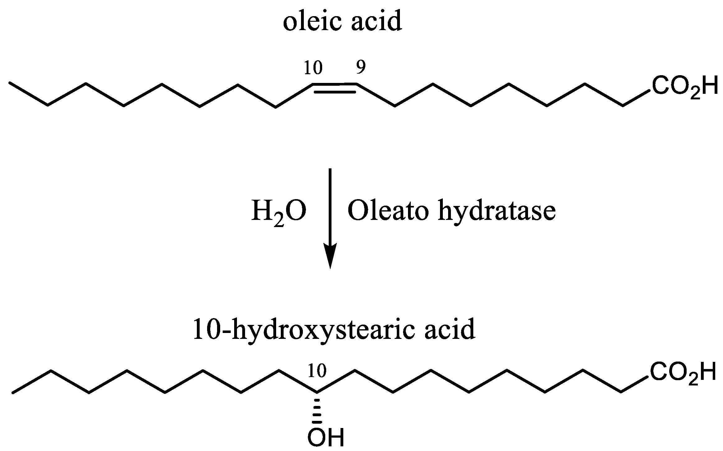 Catalysts 11 01051 g001 Catalysts 11 01051 g001