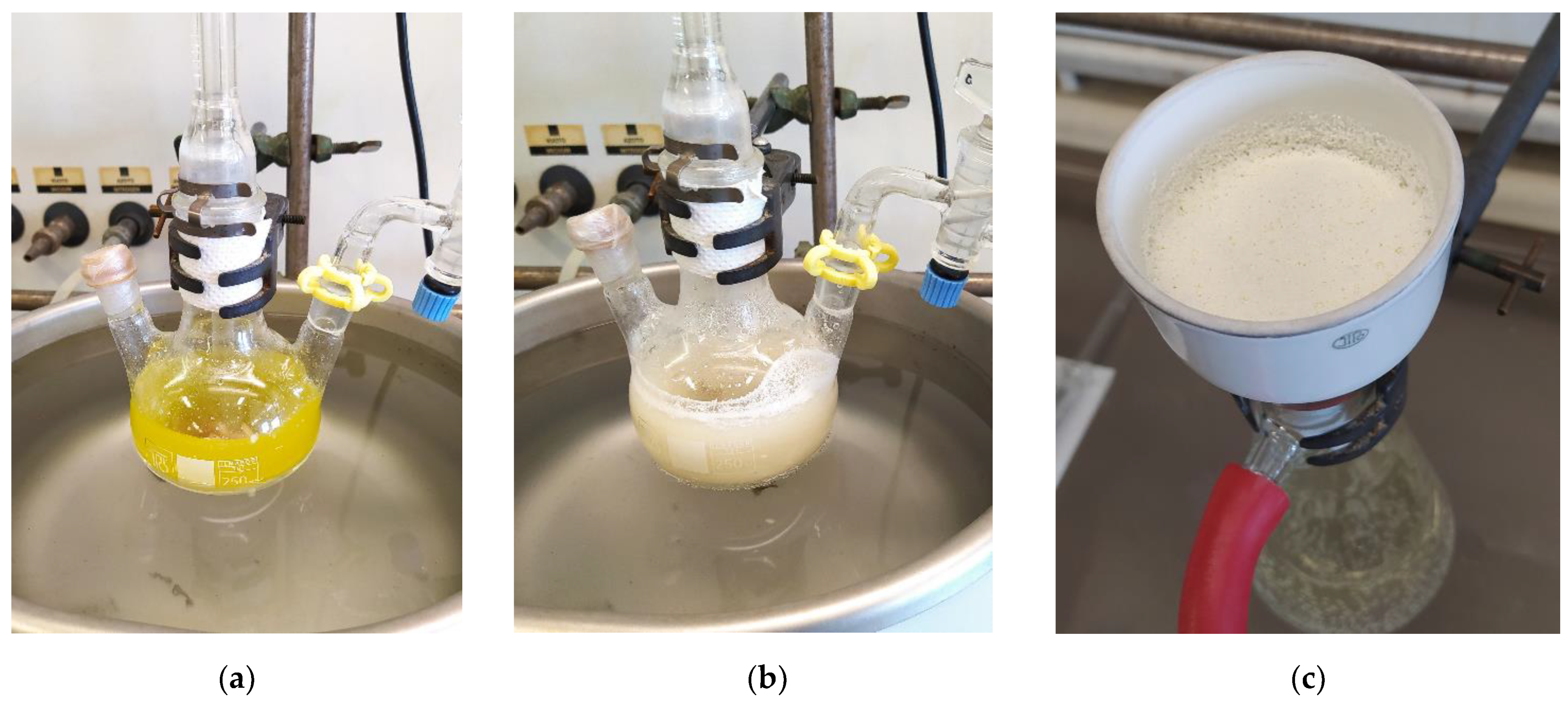Catalysts 11 01051 g004 Catalysts 11 01051 g004