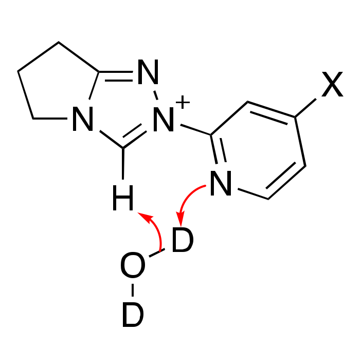 Catalysts 11 01055 g008 Catalysts 11 01055 g008