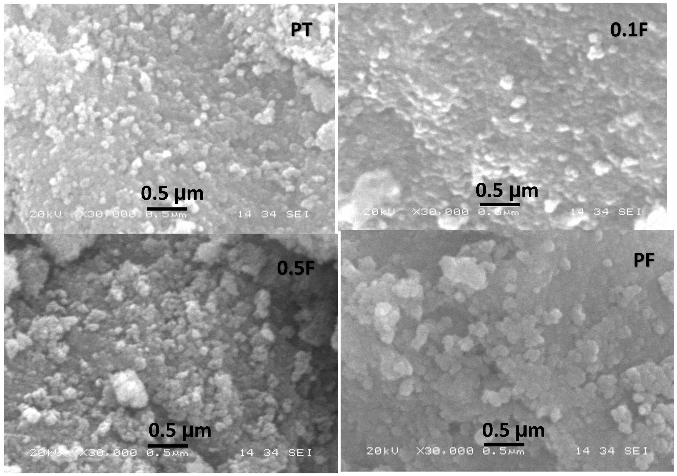 Catalysts 11 01062 g002