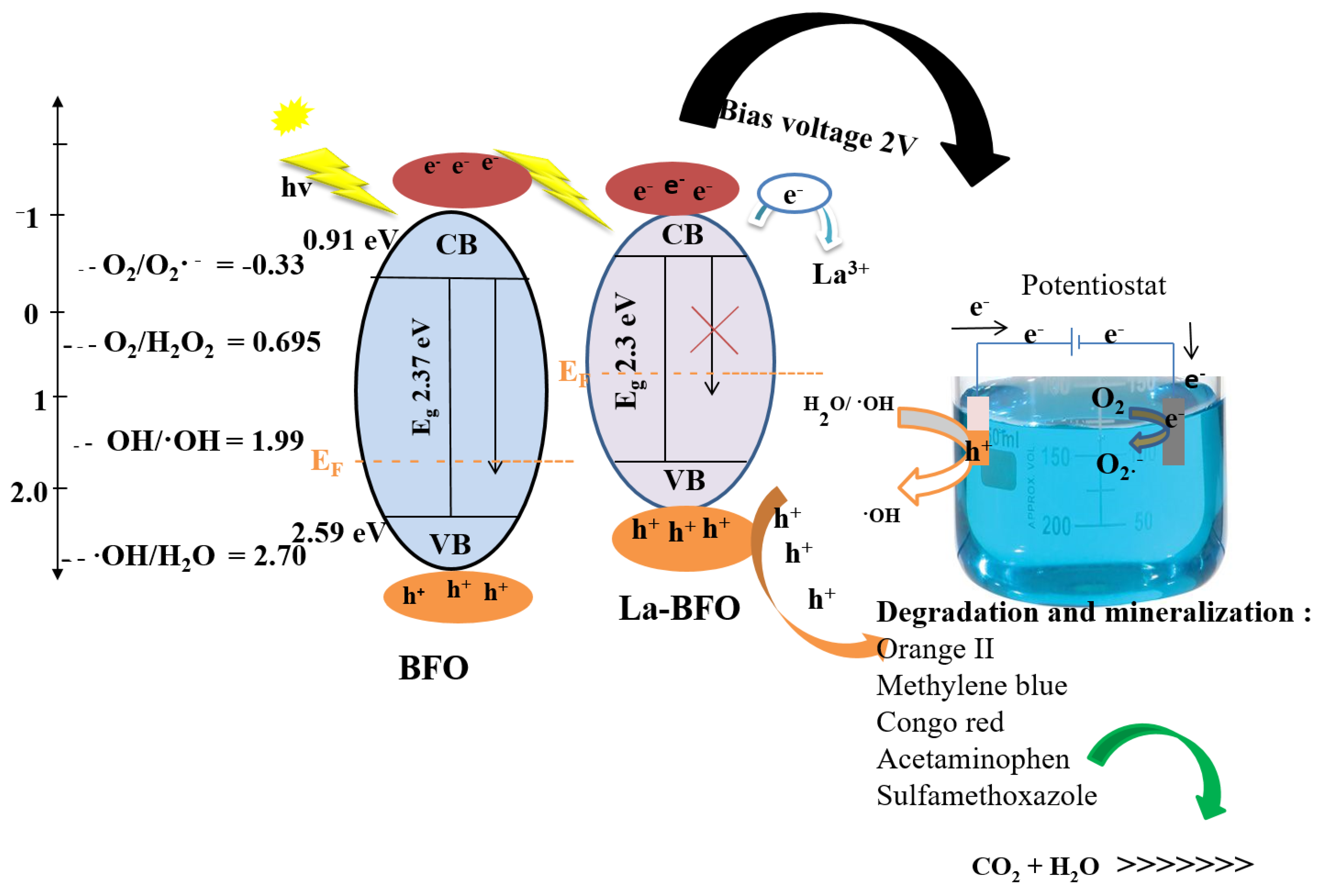 Catalysts 11 01069 g005