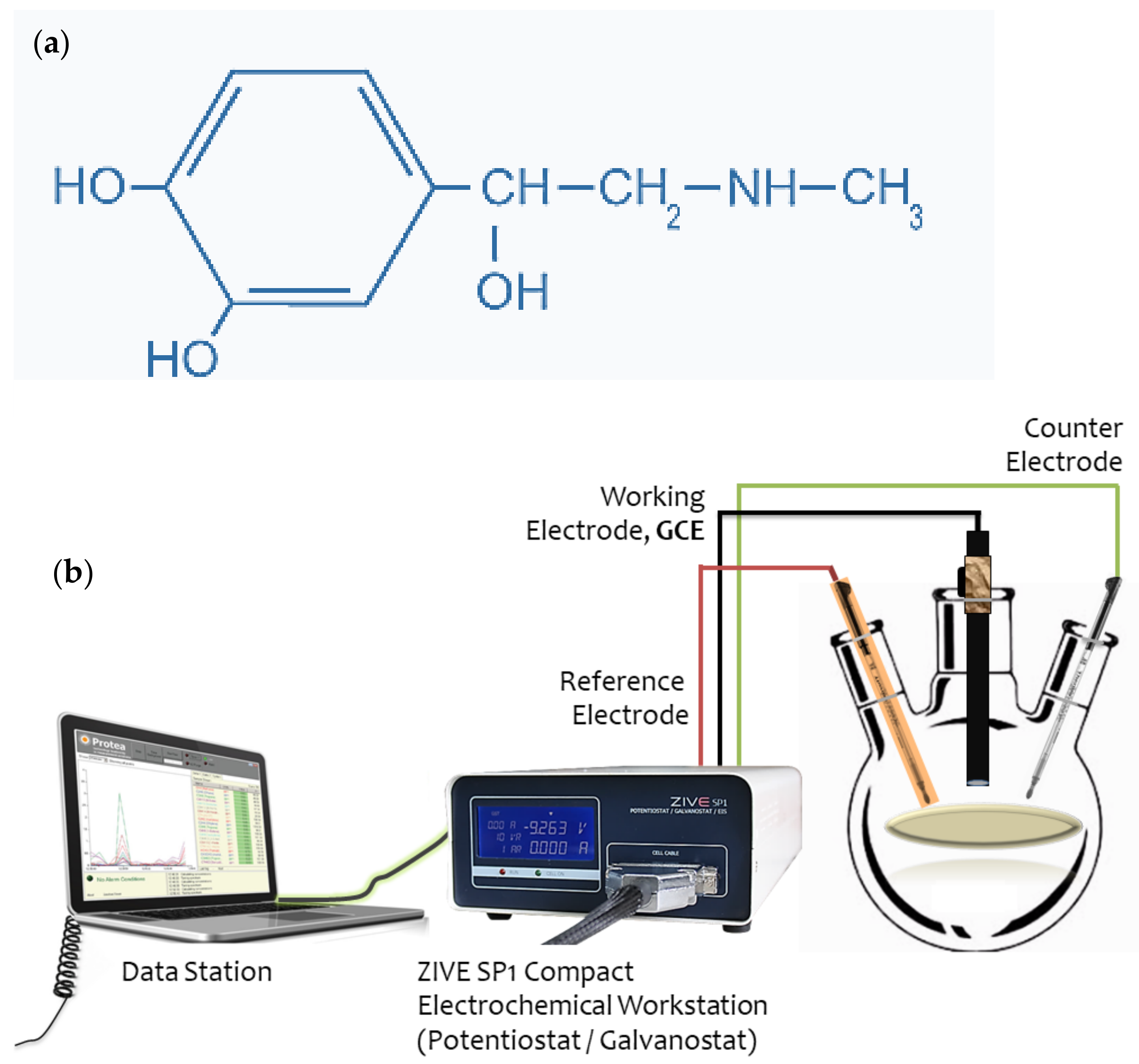 Catalysts 11 01083 g001