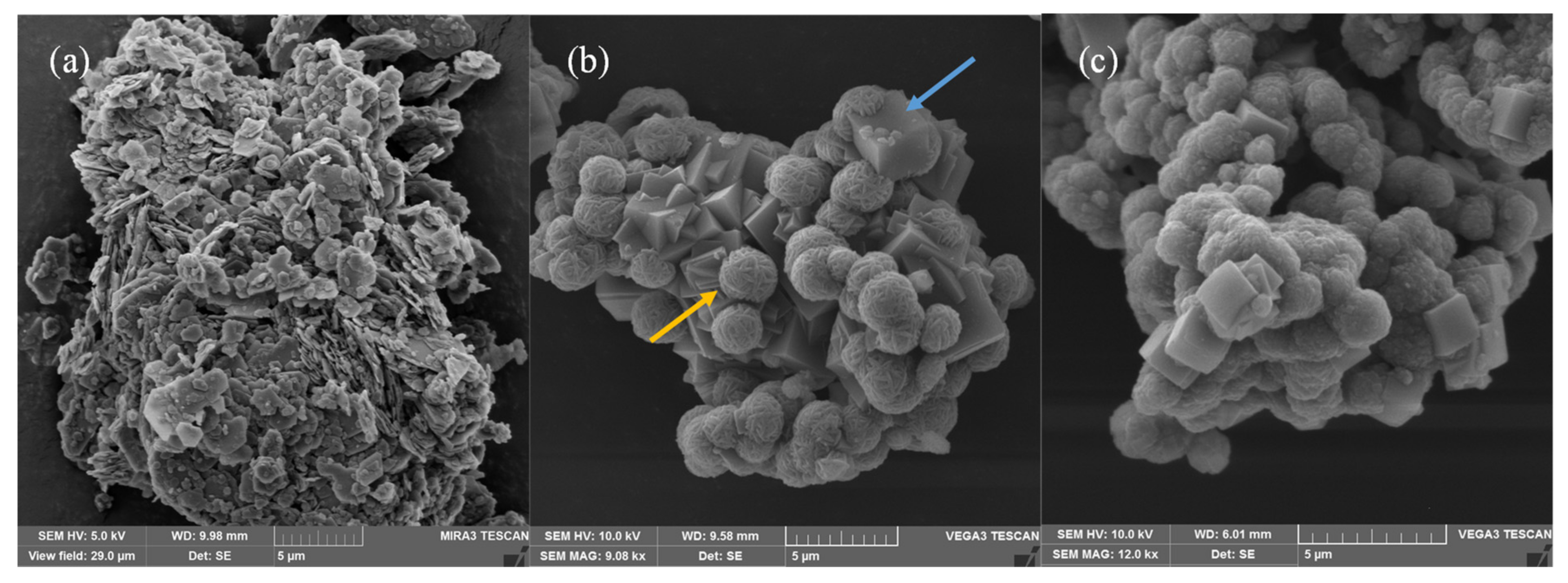 Catalysts 11 01088 g004