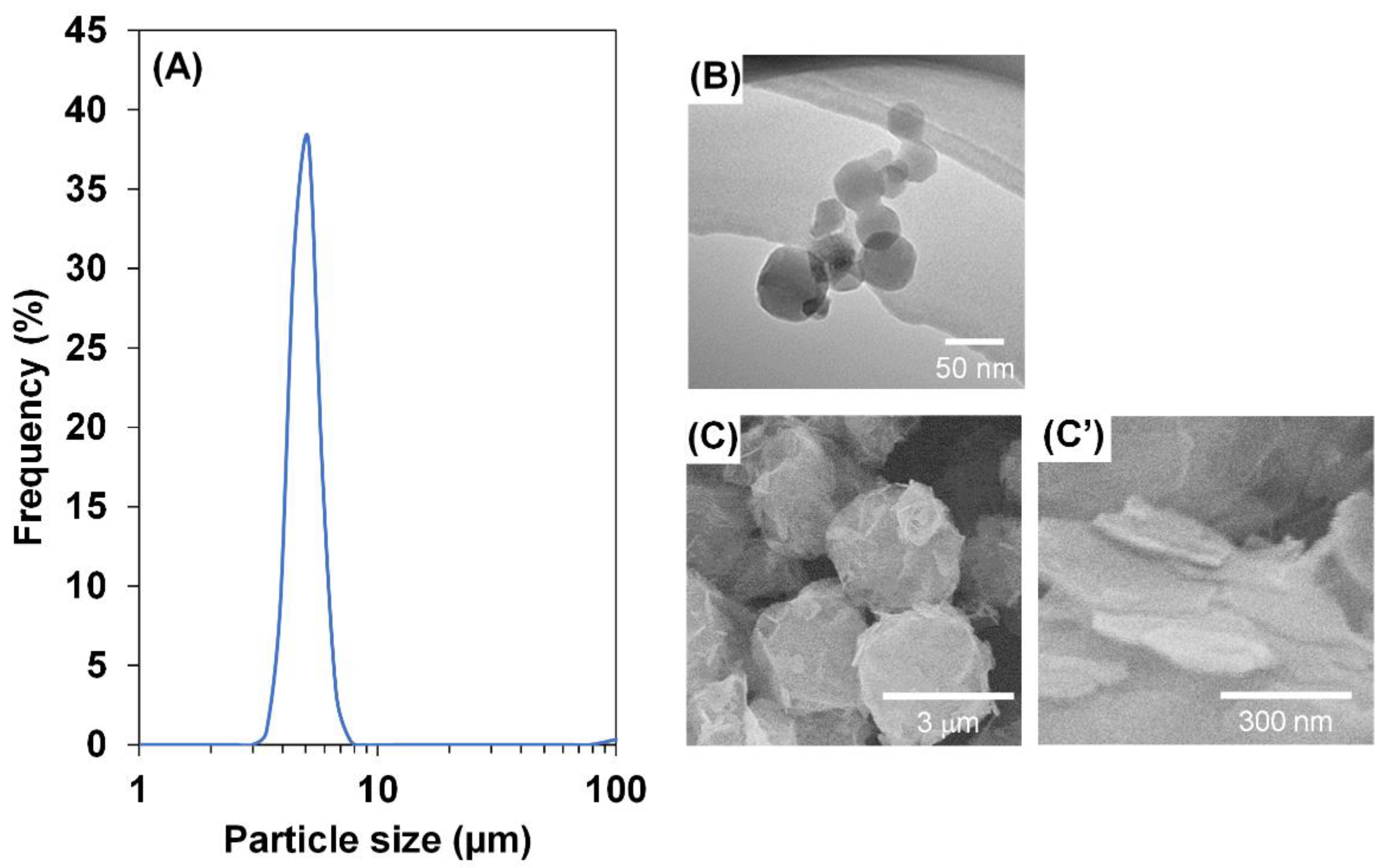 Catalysts 11 01092 g001