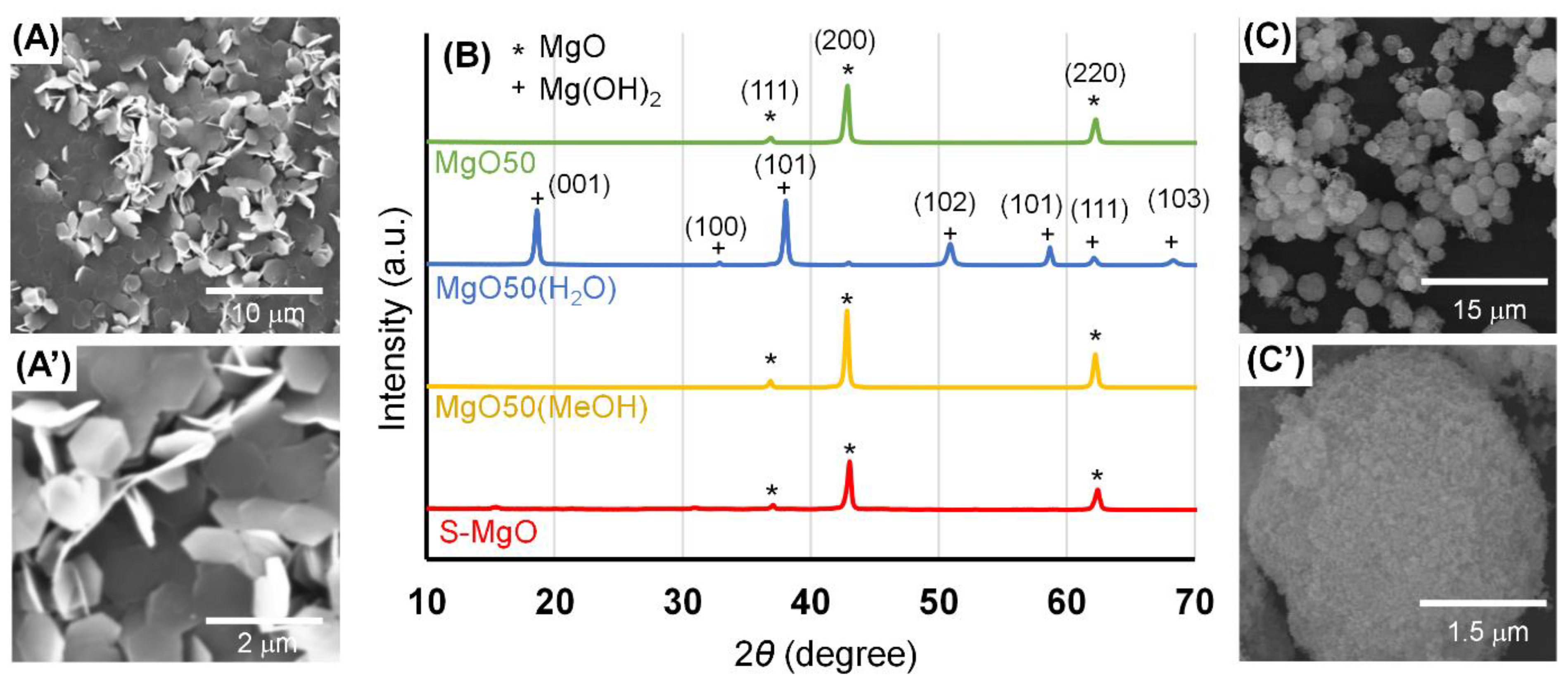 Catalysts 11 01092 g002