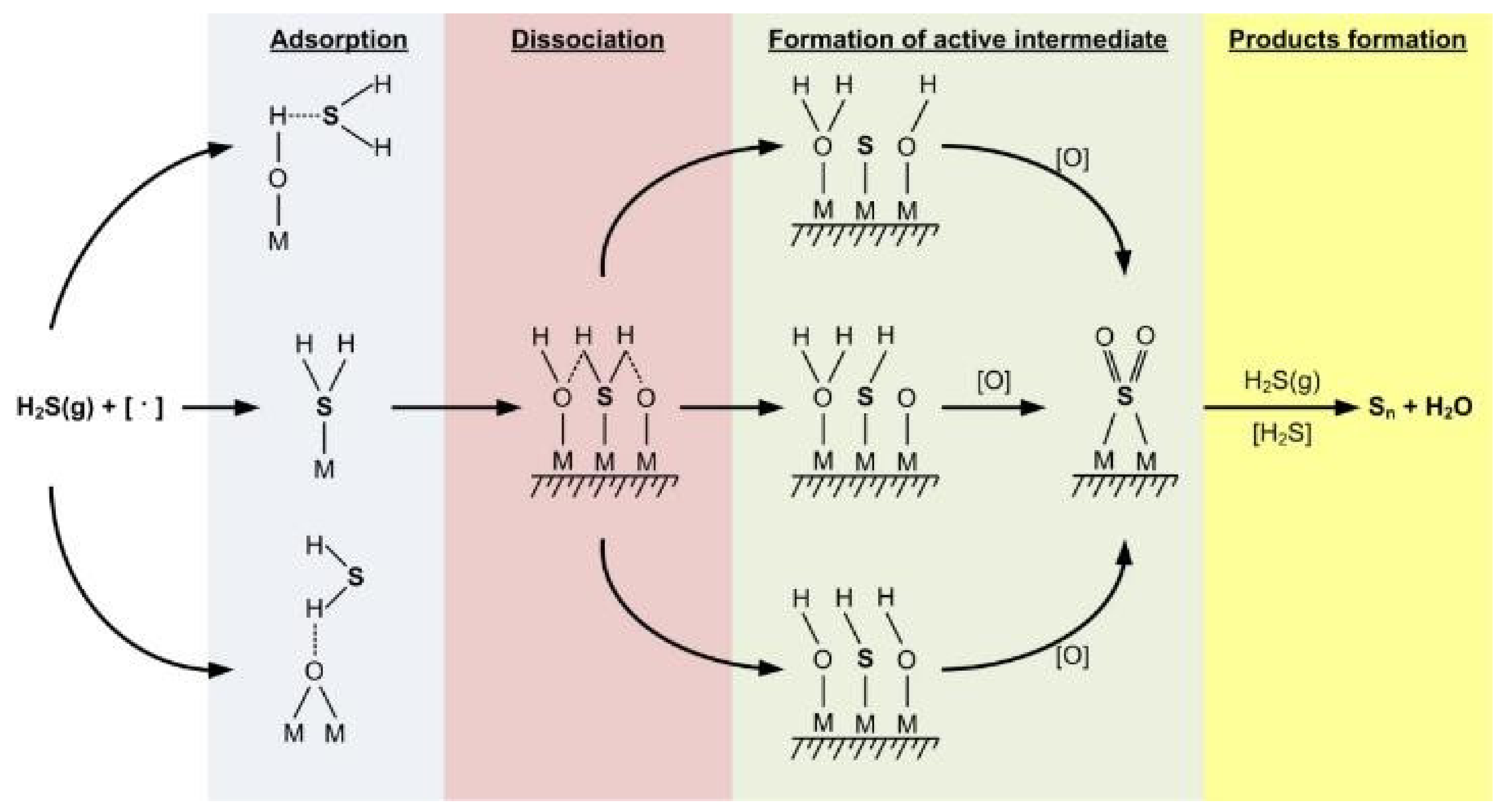 Catalysts 11 01109 g013