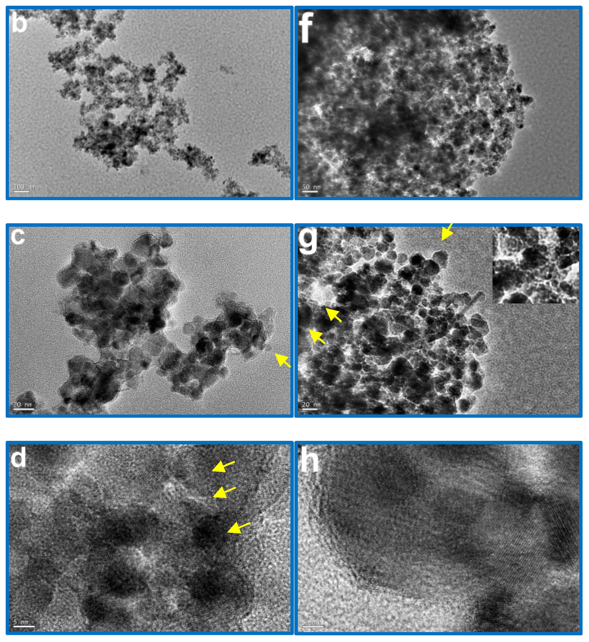 Catalysts 11 01126 g003b
