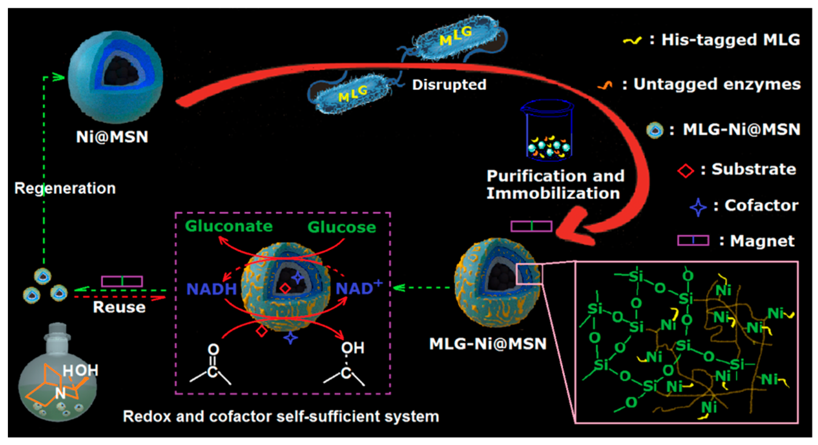 Catalysts 11 01126 sch001