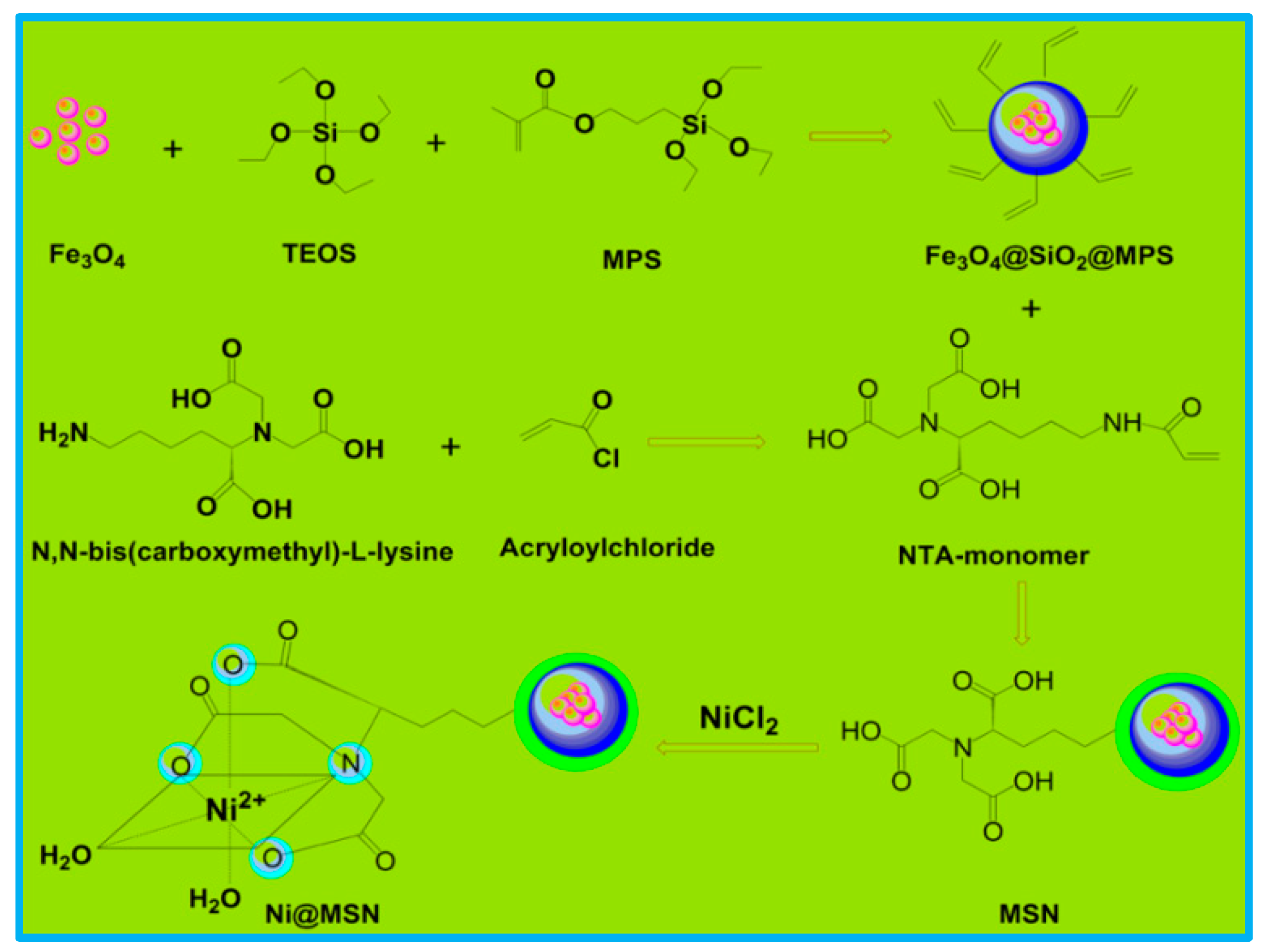 Catalysts 11 01126 sch002