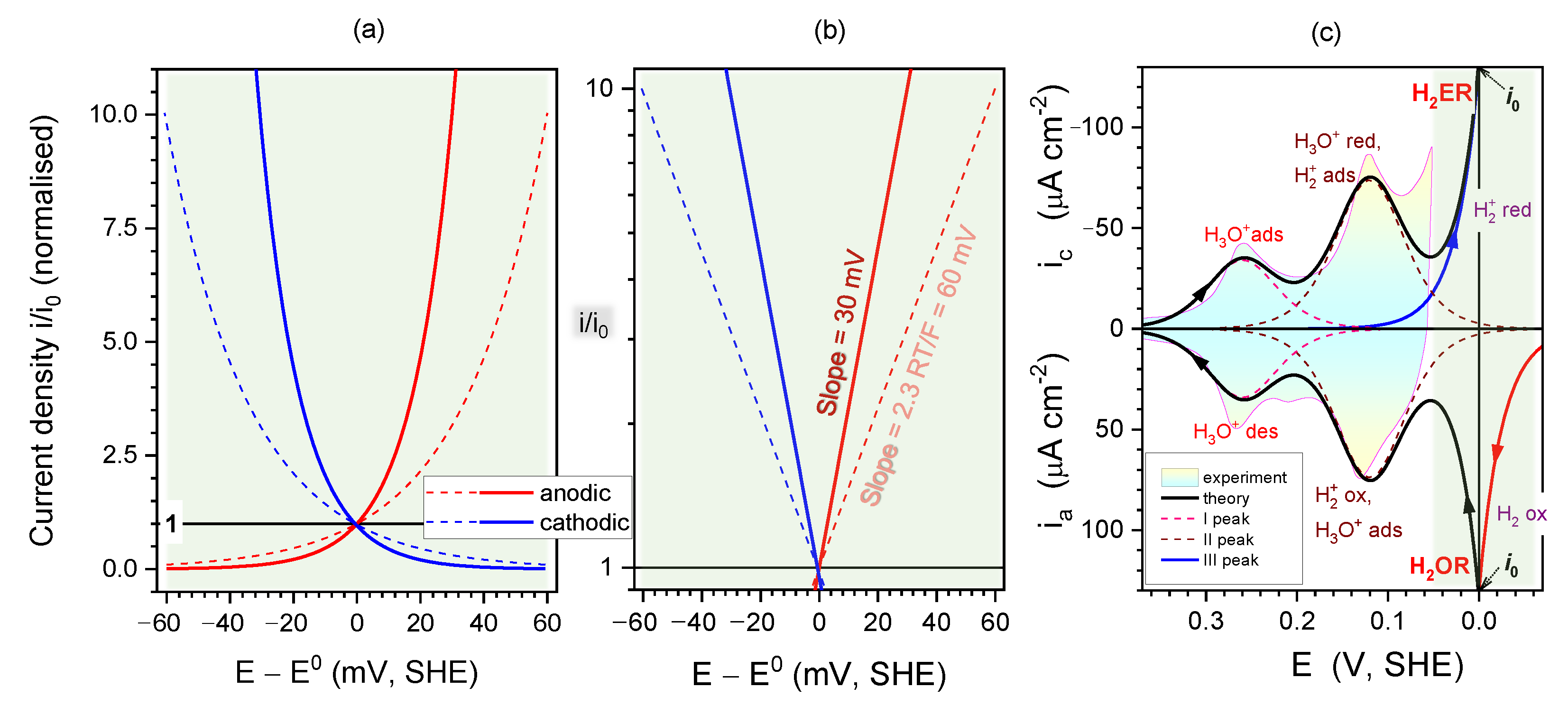 Catalysts 11 01135 g002