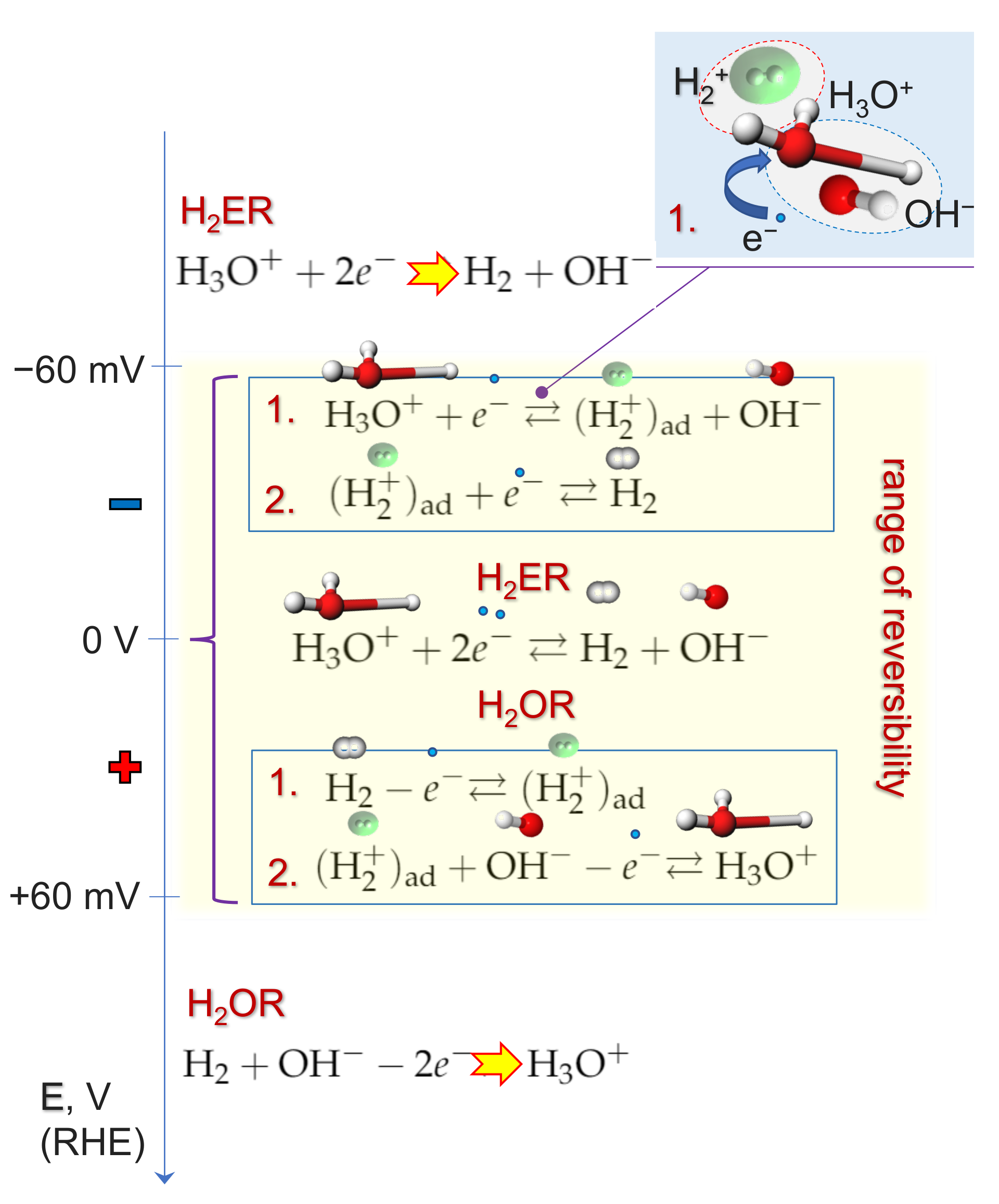 Catalysts 11 01135 g003