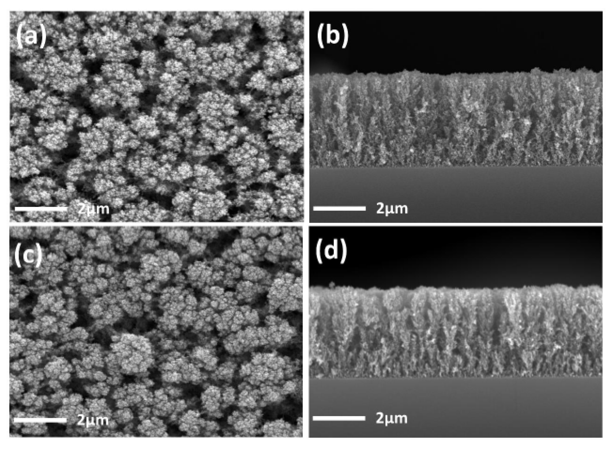 Catalysts 11 01144 g001 Catalysts 11 01144 g001