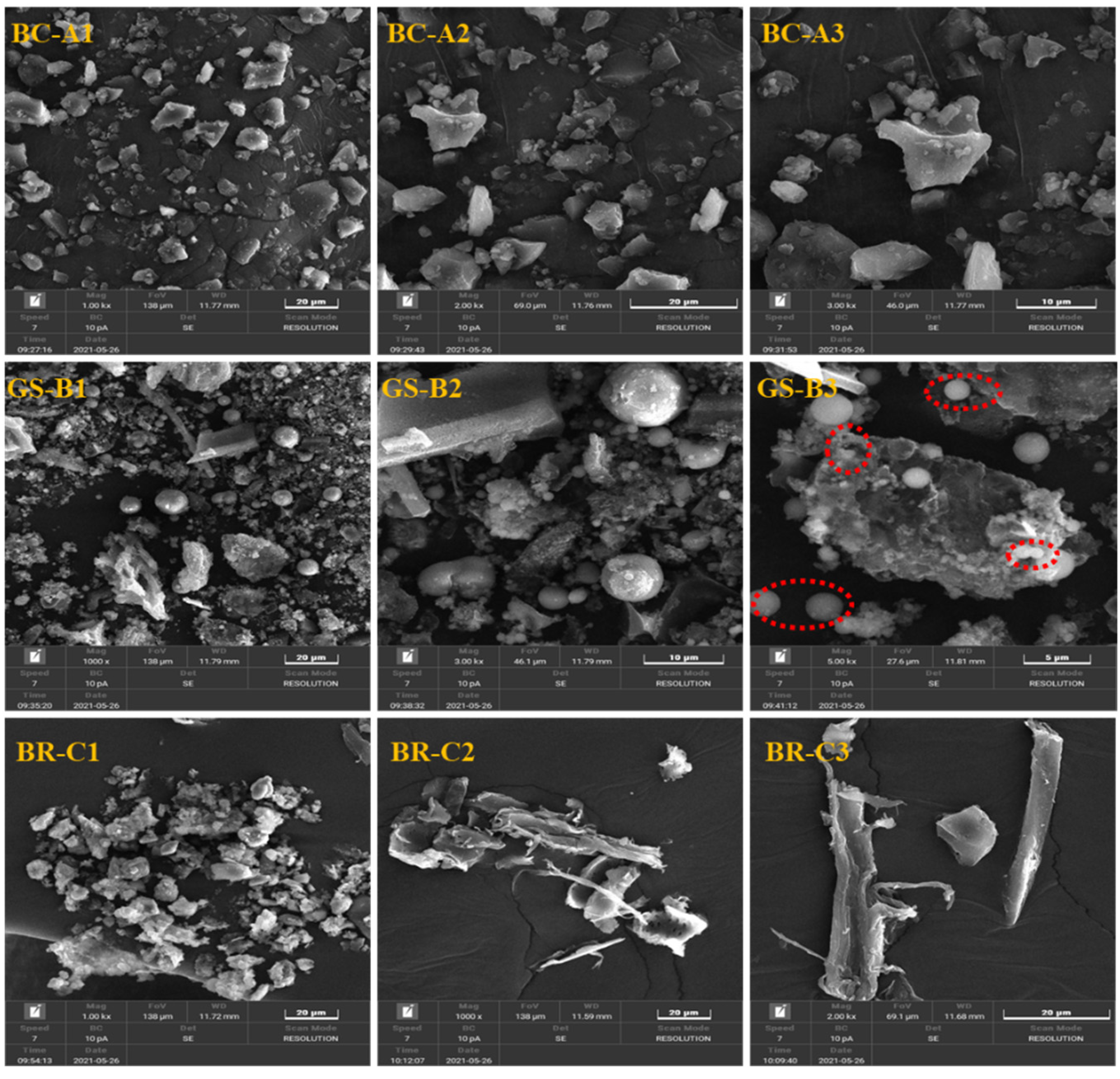 Catalysts 11 01152 g001