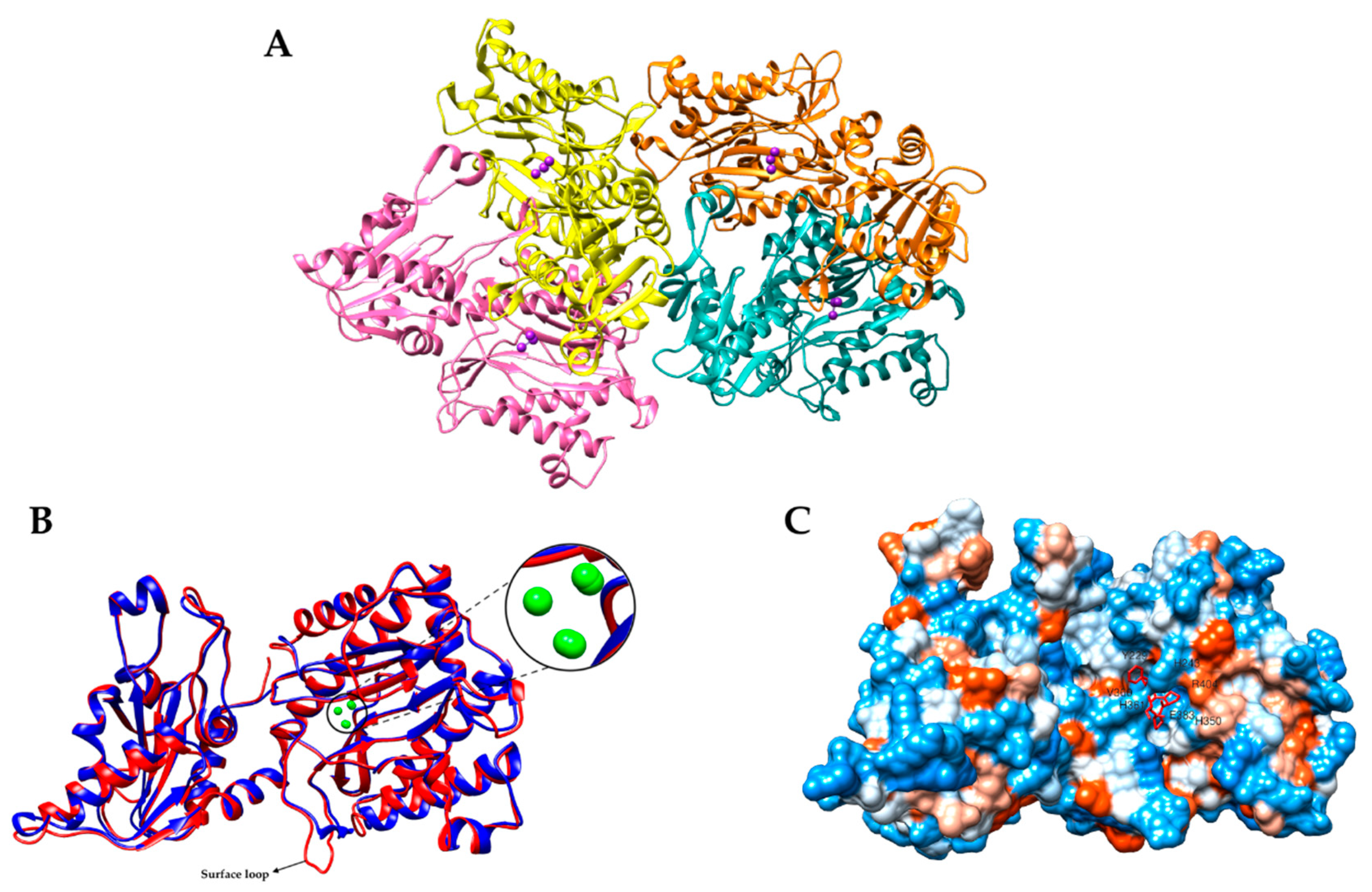 Catalysts 11 01157 g001 Catalysts 11 01157 g001