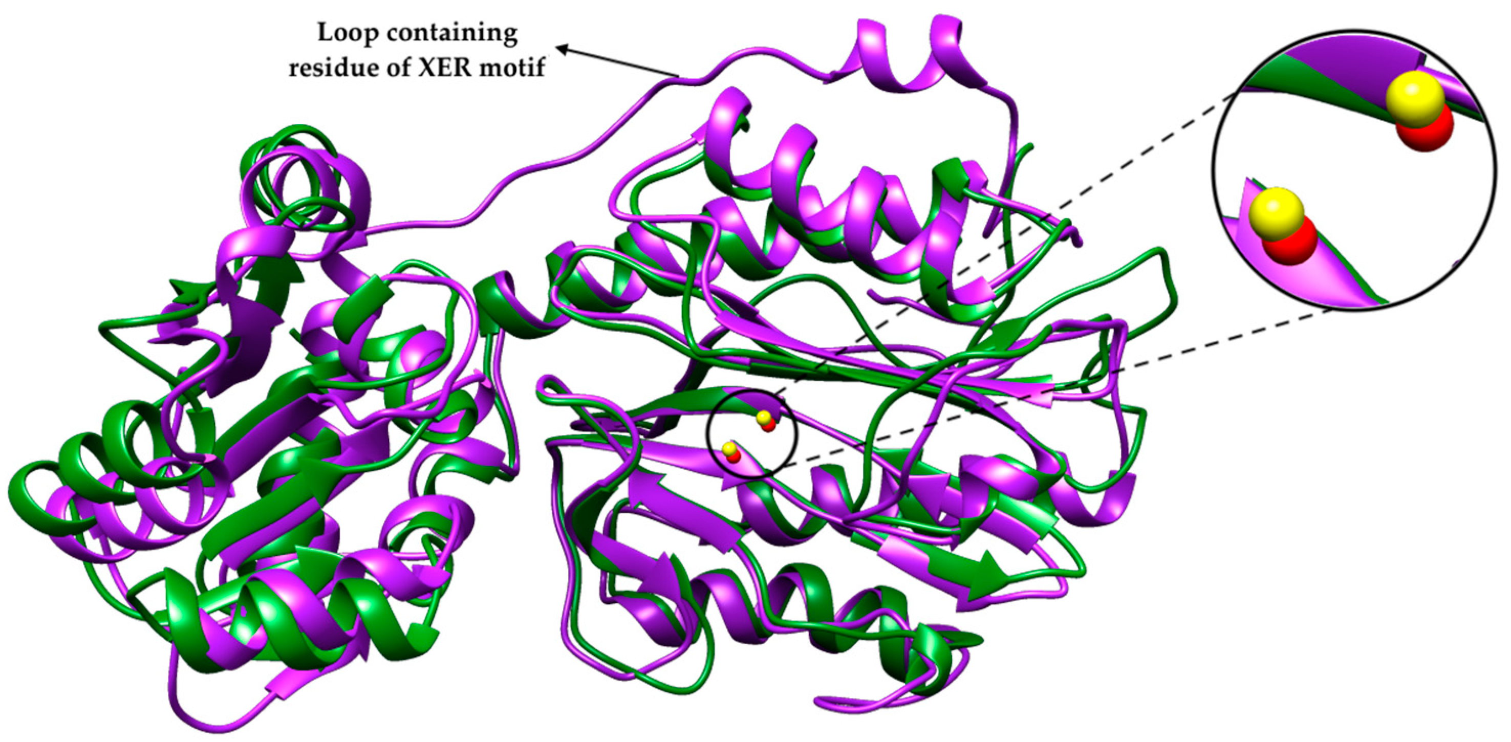 Catalysts 11 01157 g002 Catalysts 11 01157 g002