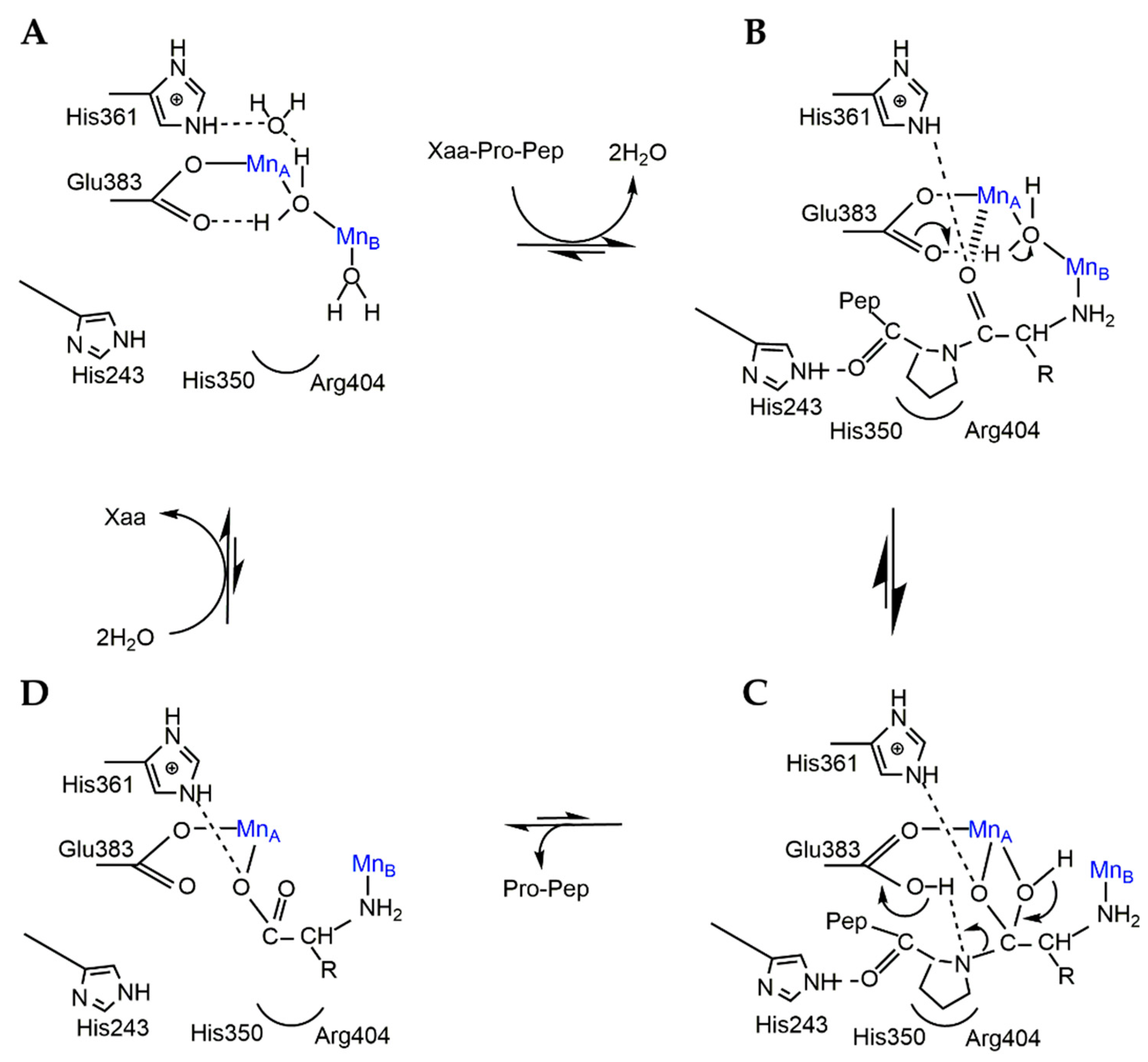 Catalysts 11 01157 g003 Catalysts 11 01157 g003