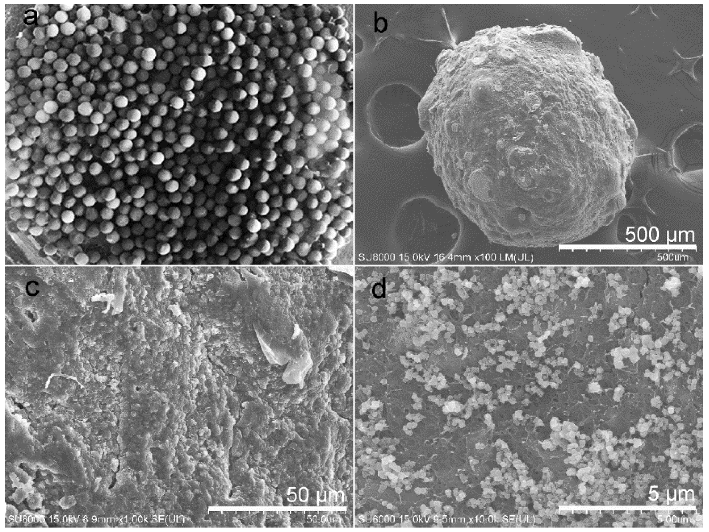 Catalysts 11 01158 g002