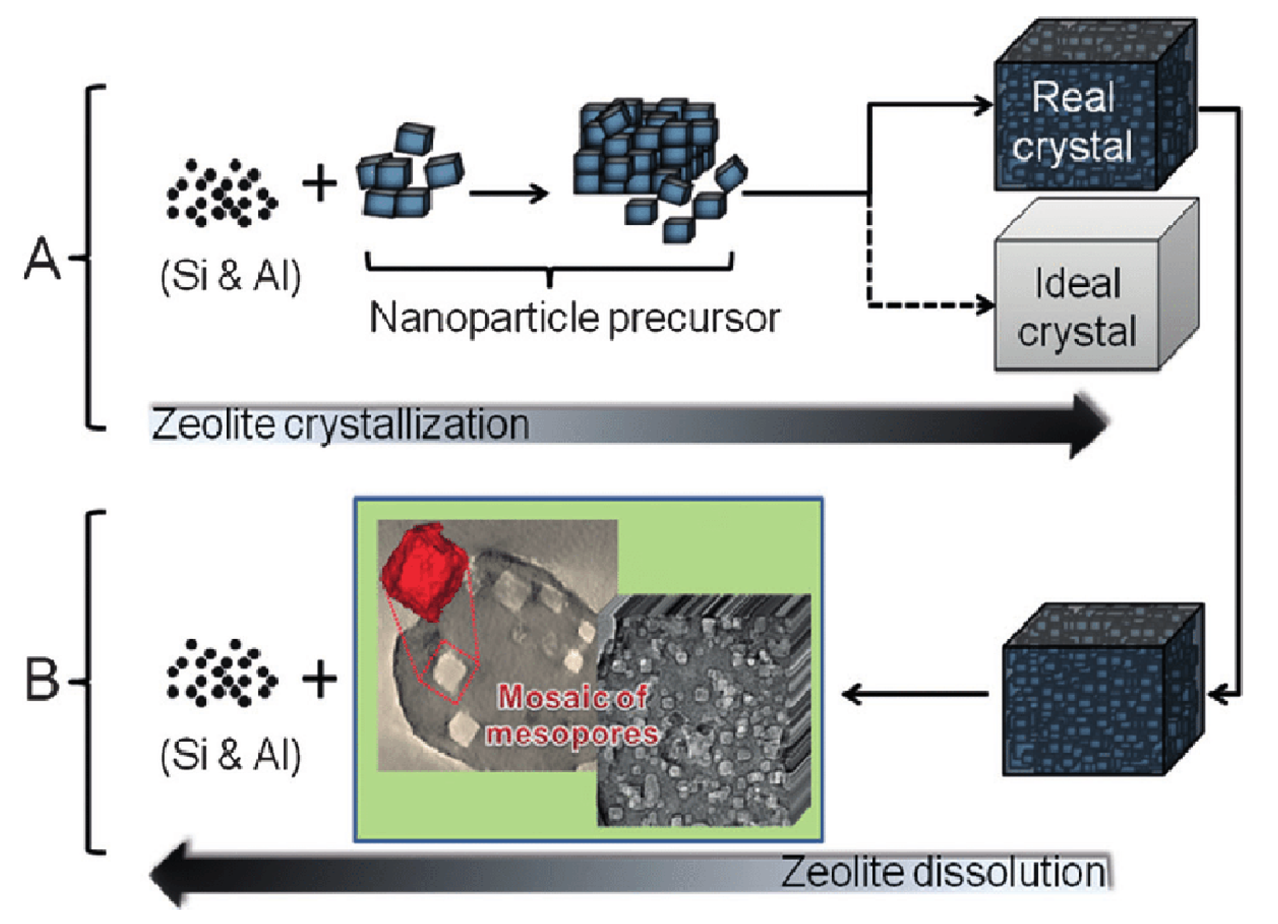 Catalysts 11 01162 g003