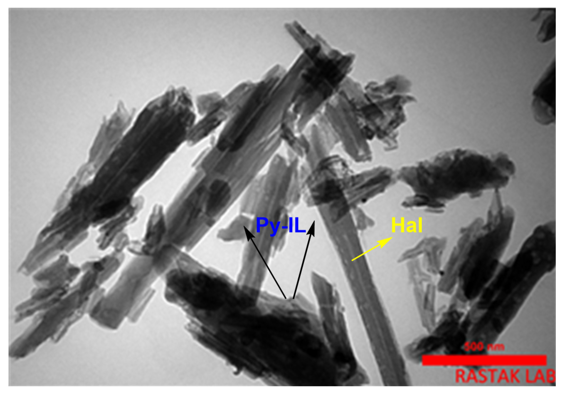 Catalysts 11 01172 g003
