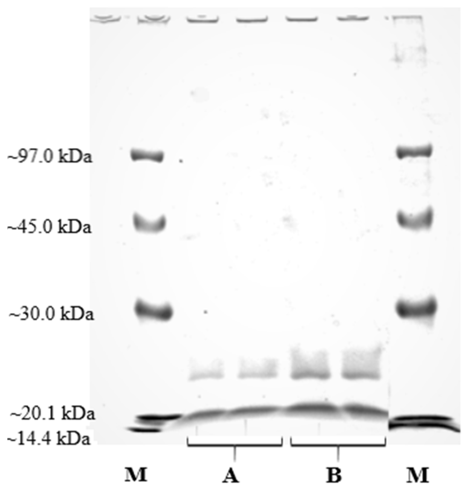 Catalysts 11 01173 g003 Catalysts 11 01173 g003