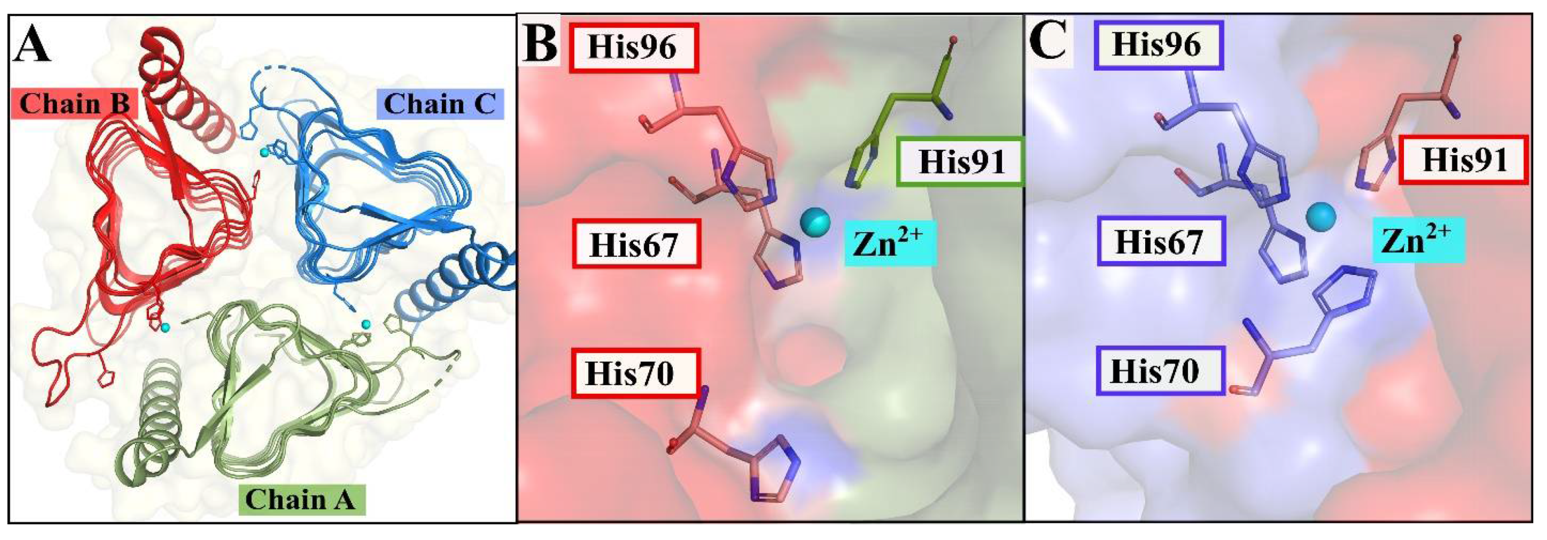 Catalysts 11 01177 g001