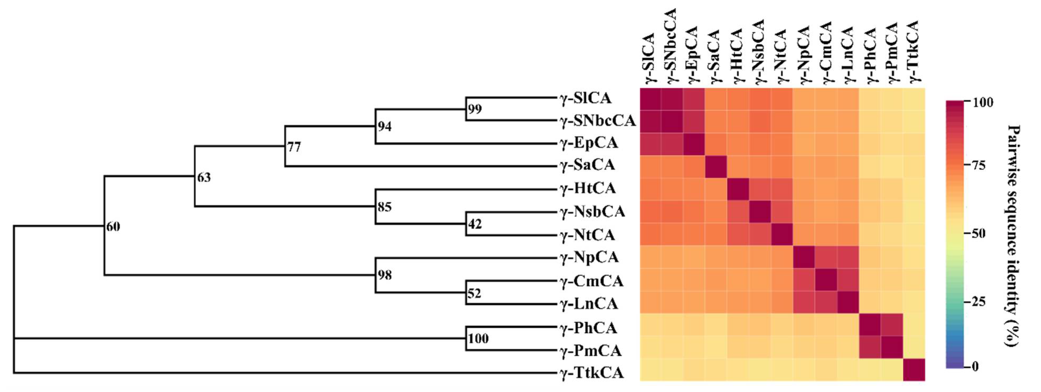 Catalysts 11 01177 g003