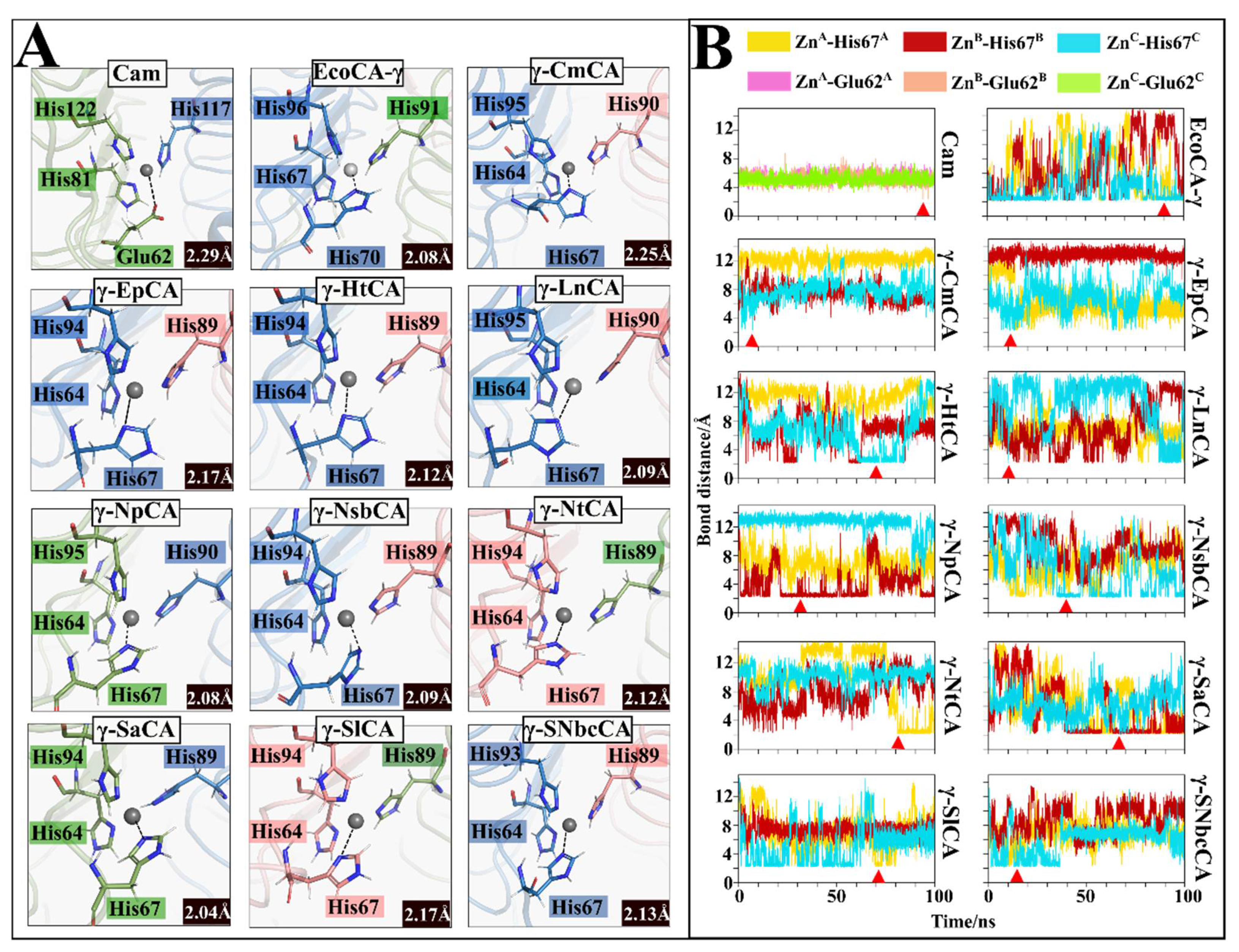 Catalysts 11 01177 g008