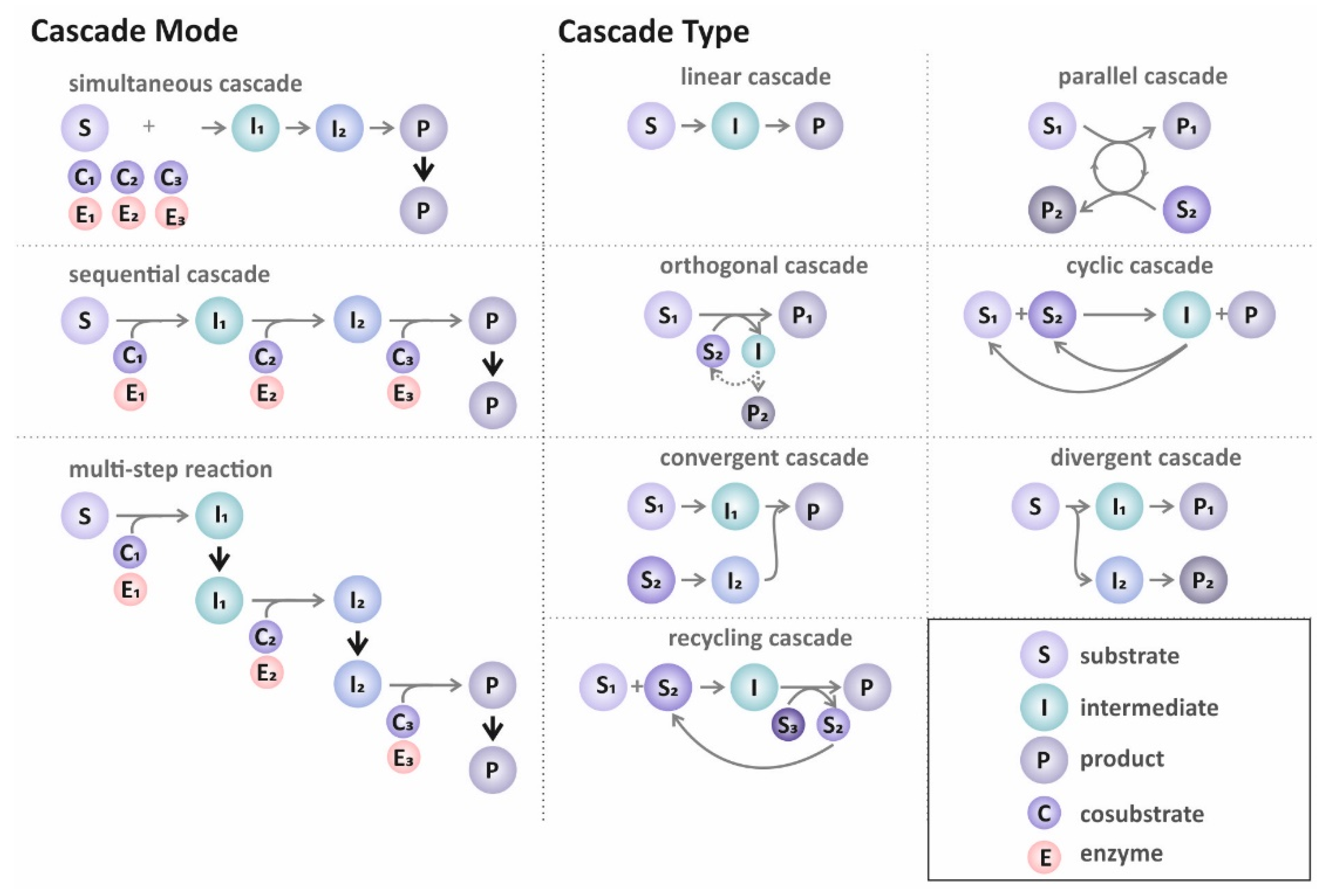 Catalysts 11 01183 g004