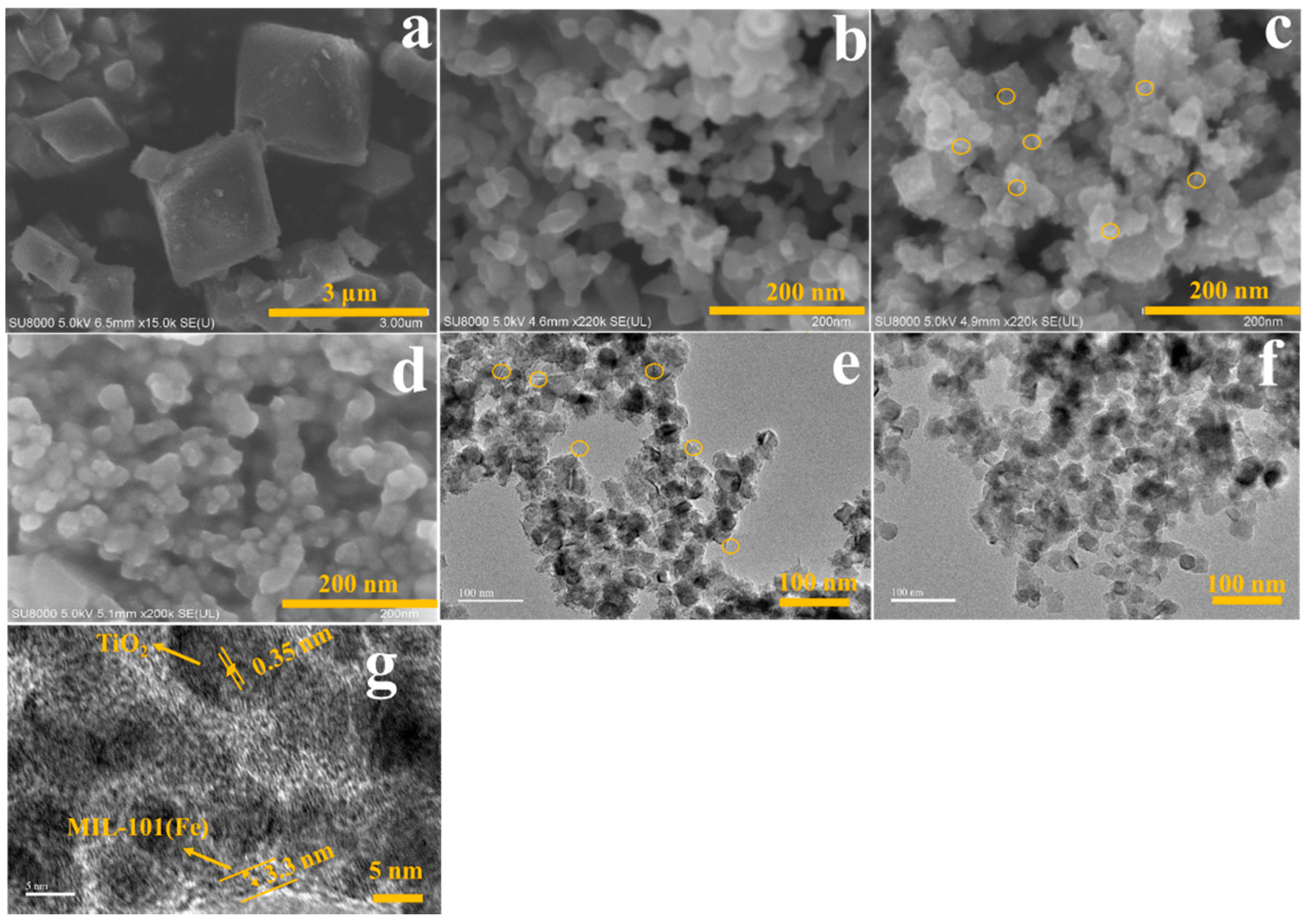 Catalysts 11 01186 g002