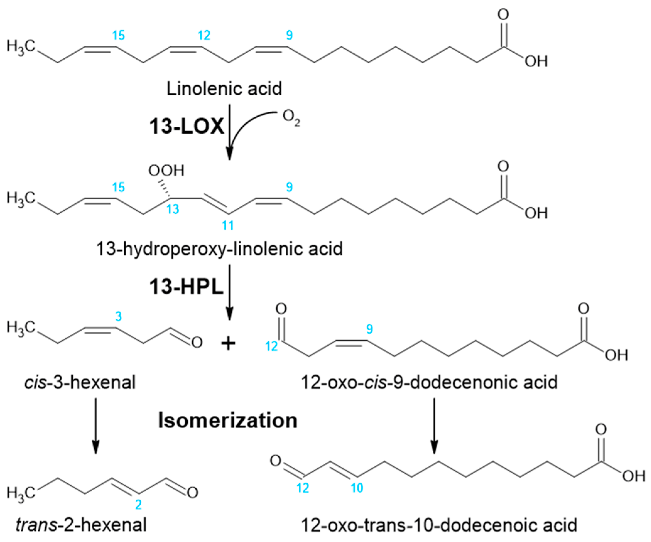 Catalysts 11 01201 g001