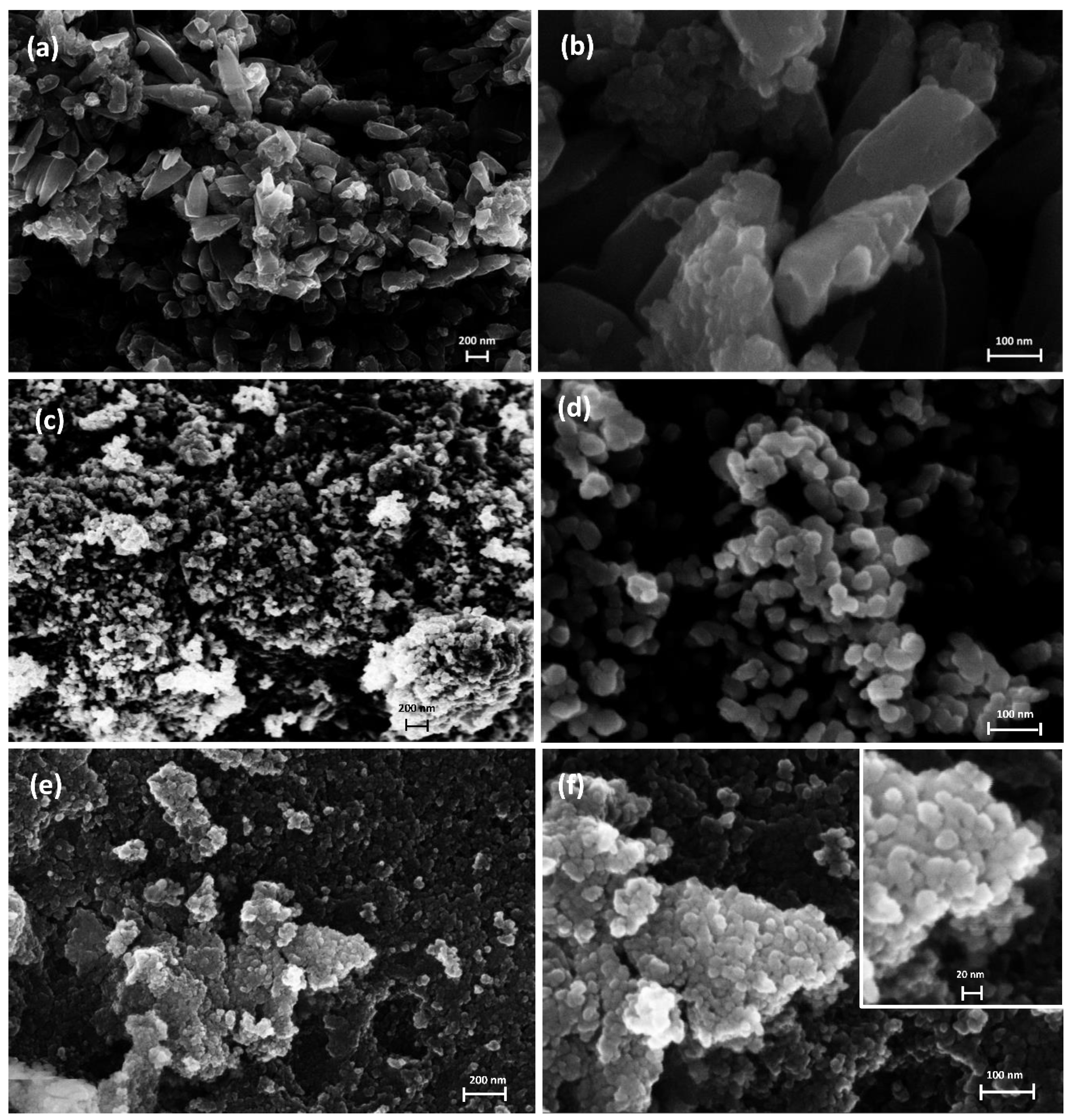 Catalysts 11 01209 g006