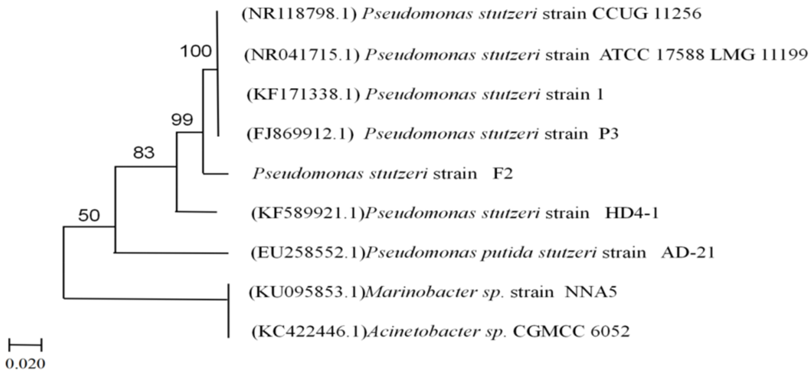 Catalysts 11 01214 g002