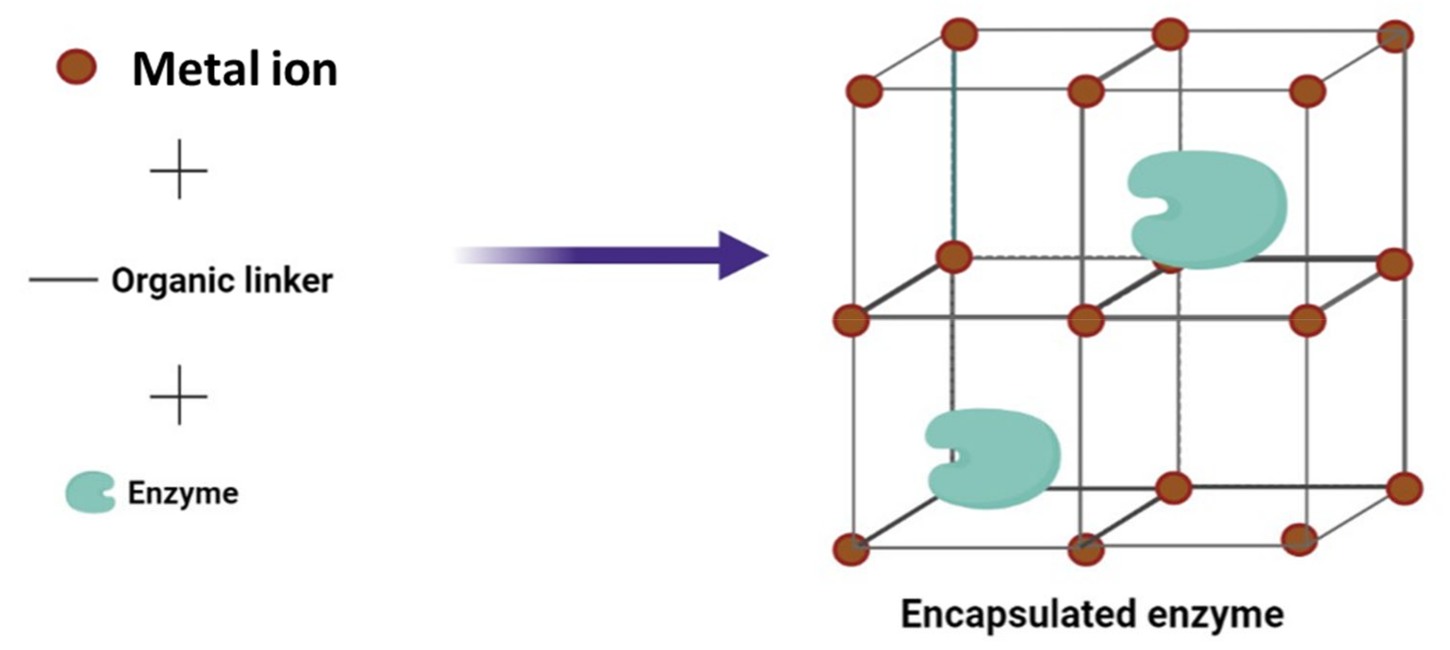 Catalysts 11 01222 g003