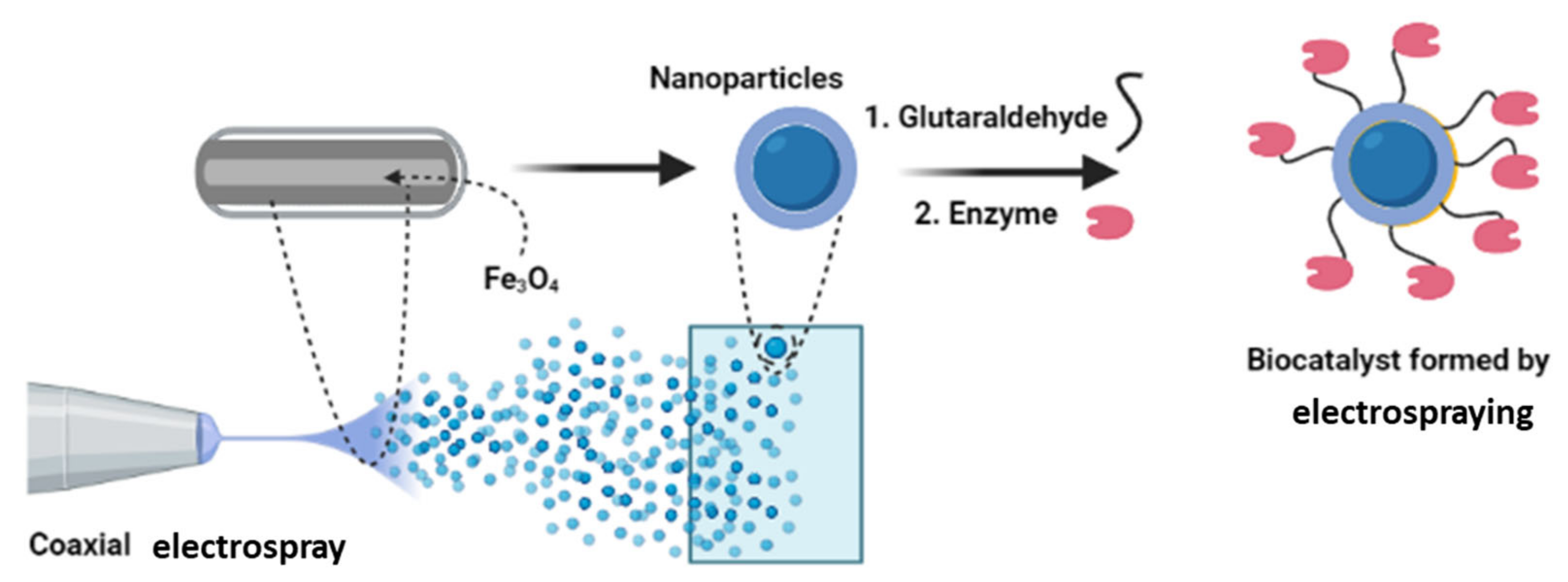 Catalysts 11 01222 g006