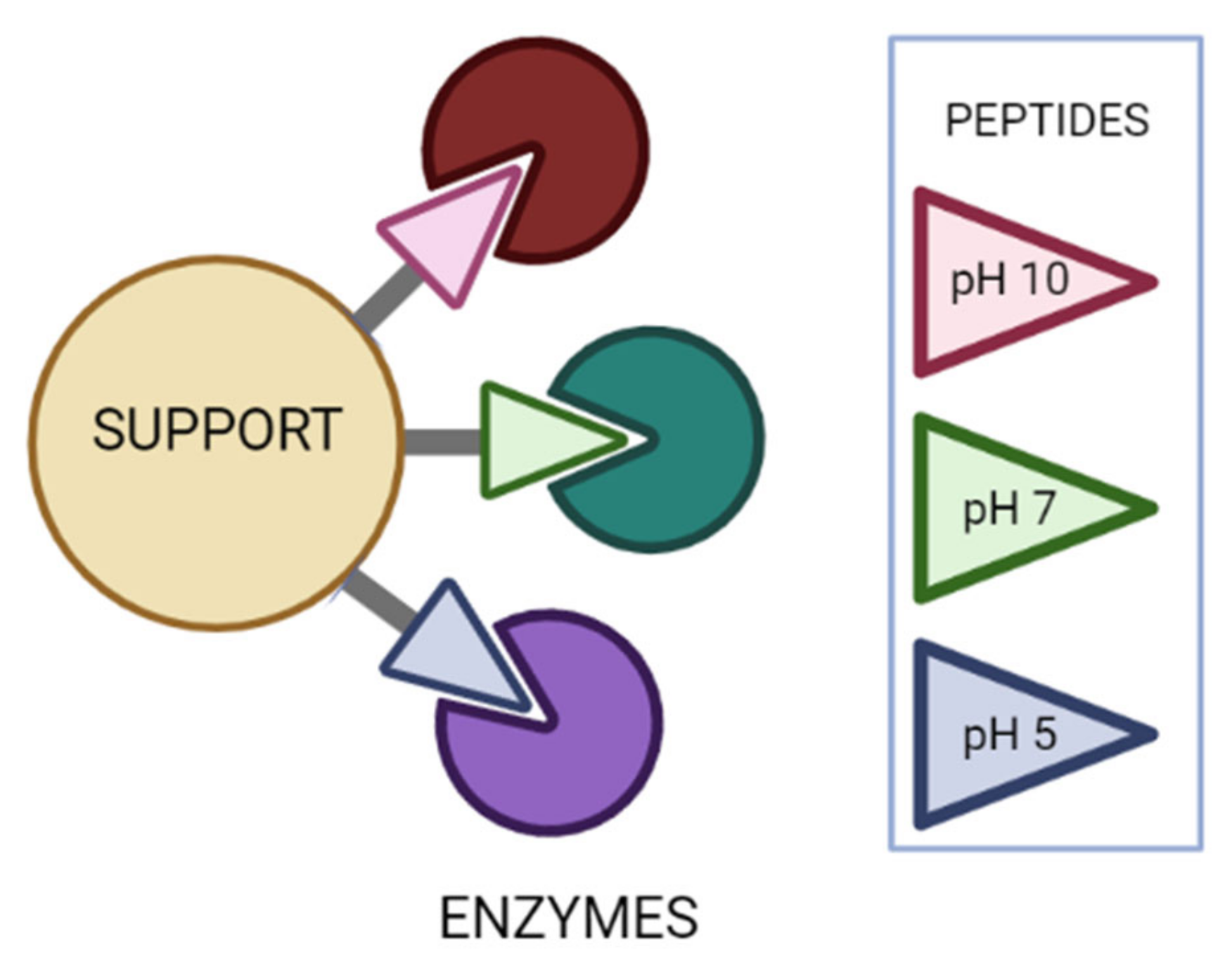 Catalysts 11 01222 g009