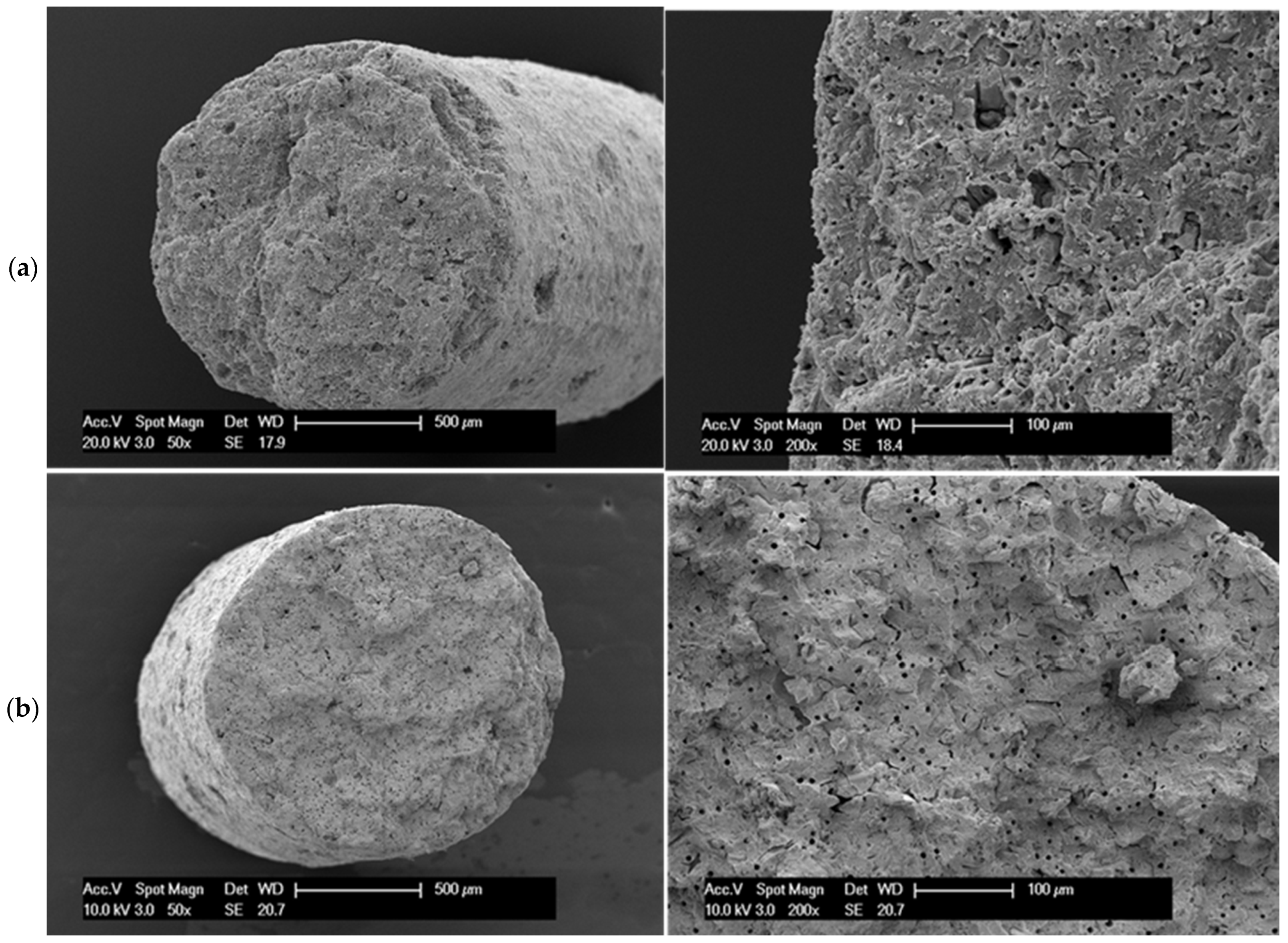 Catalysts 11 01231 g005