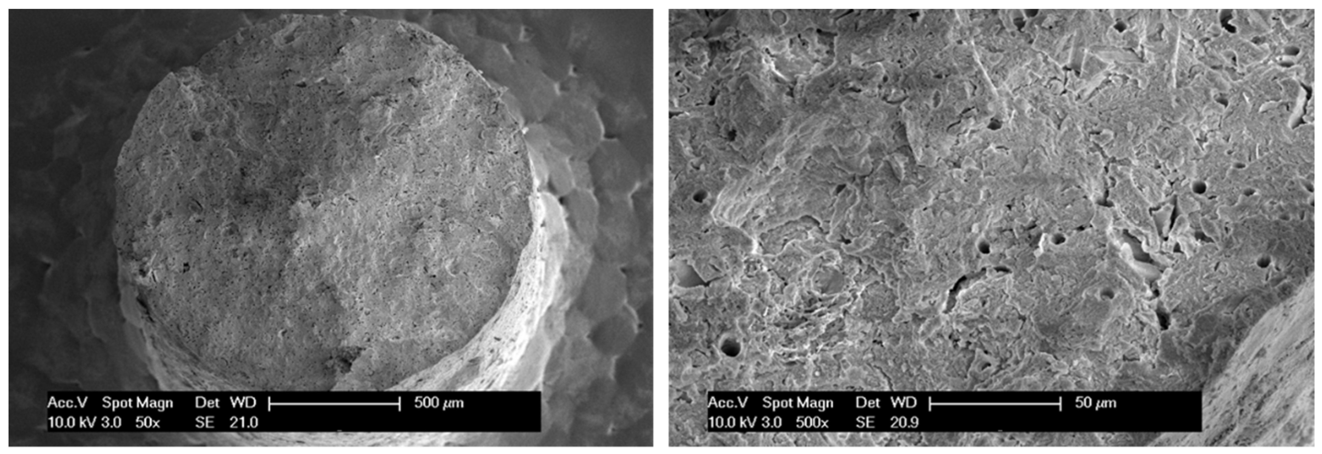 Catalysts 11 01231 g011