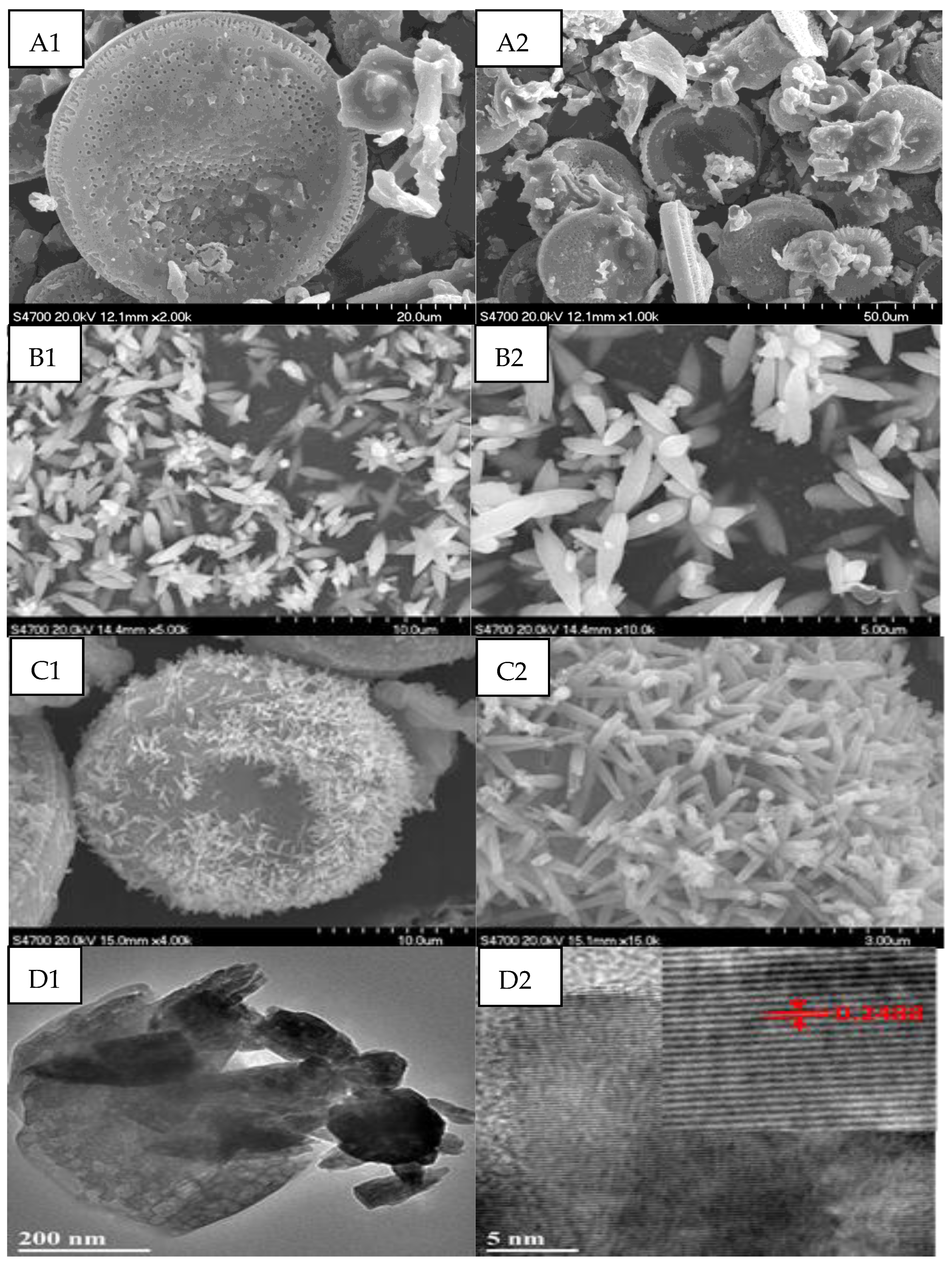 Catalysts 11 01232 g002 Catalysts 11 01232 g002