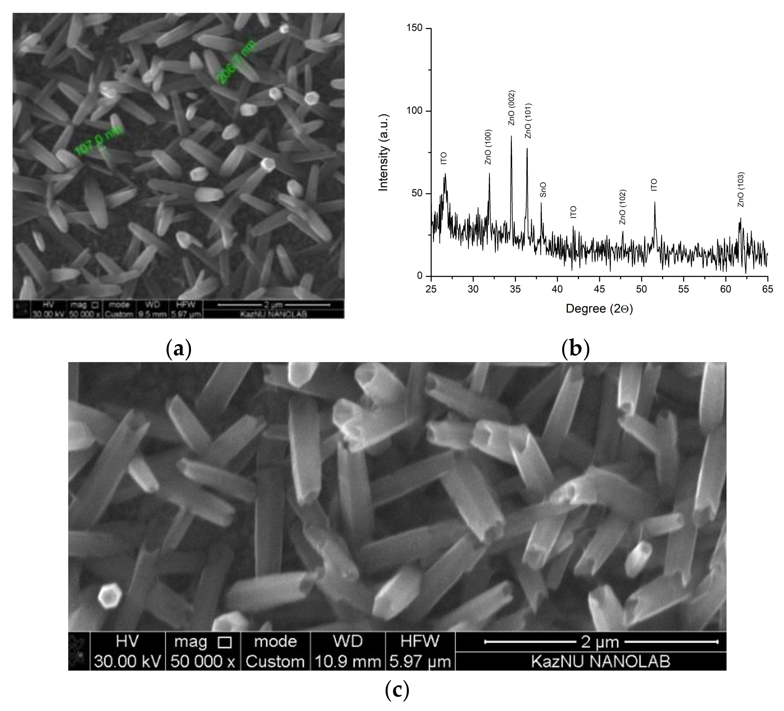 Catalysts 11 01235 g001