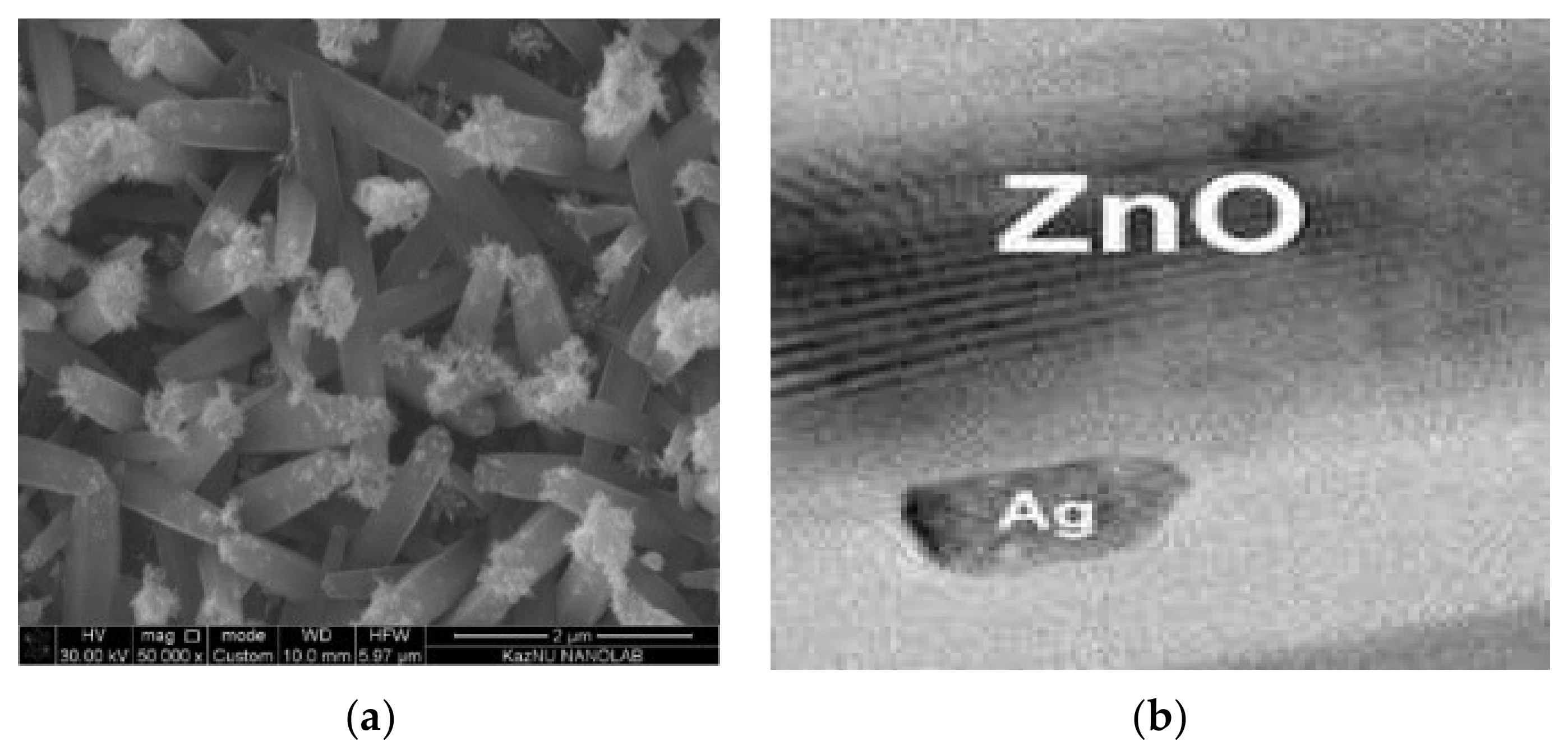 Catalysts 11 01235 g002
