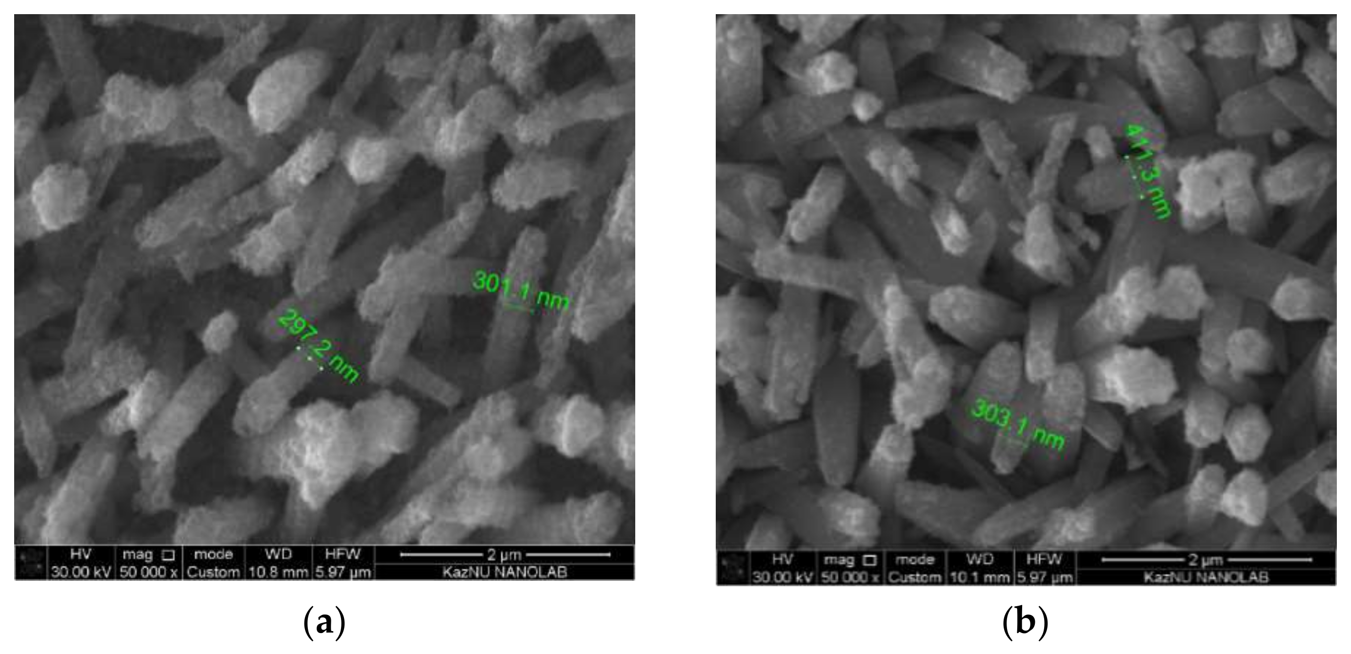 Catalysts 11 01235 g003a