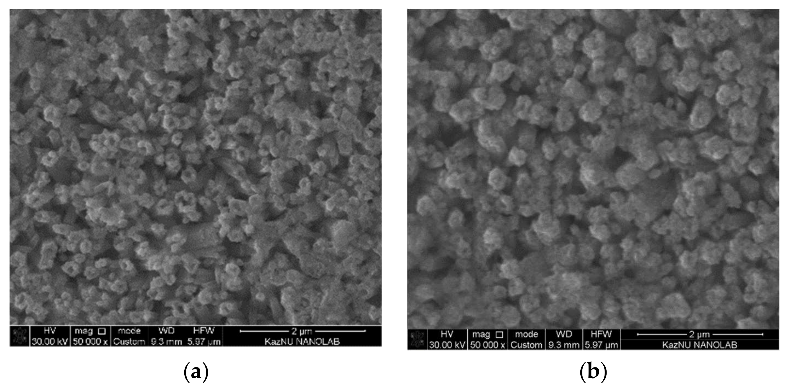 Catalysts 11 01235 g004
