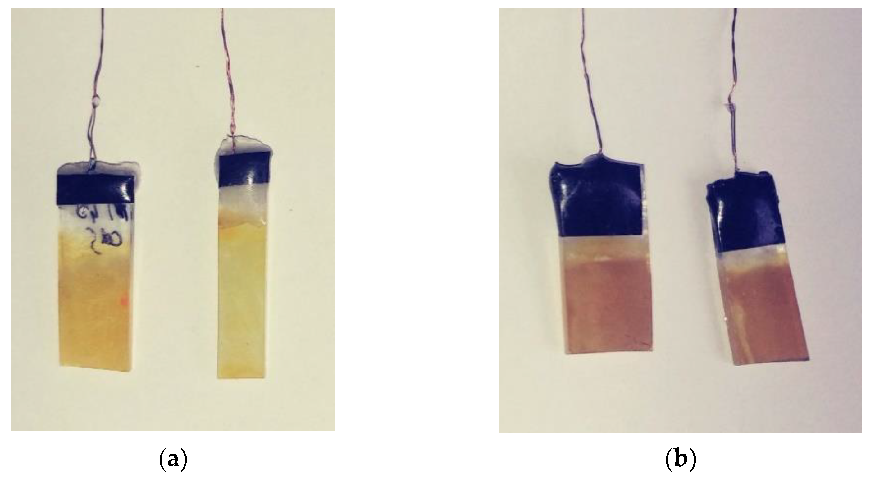 Catalysts 11 01235 g006