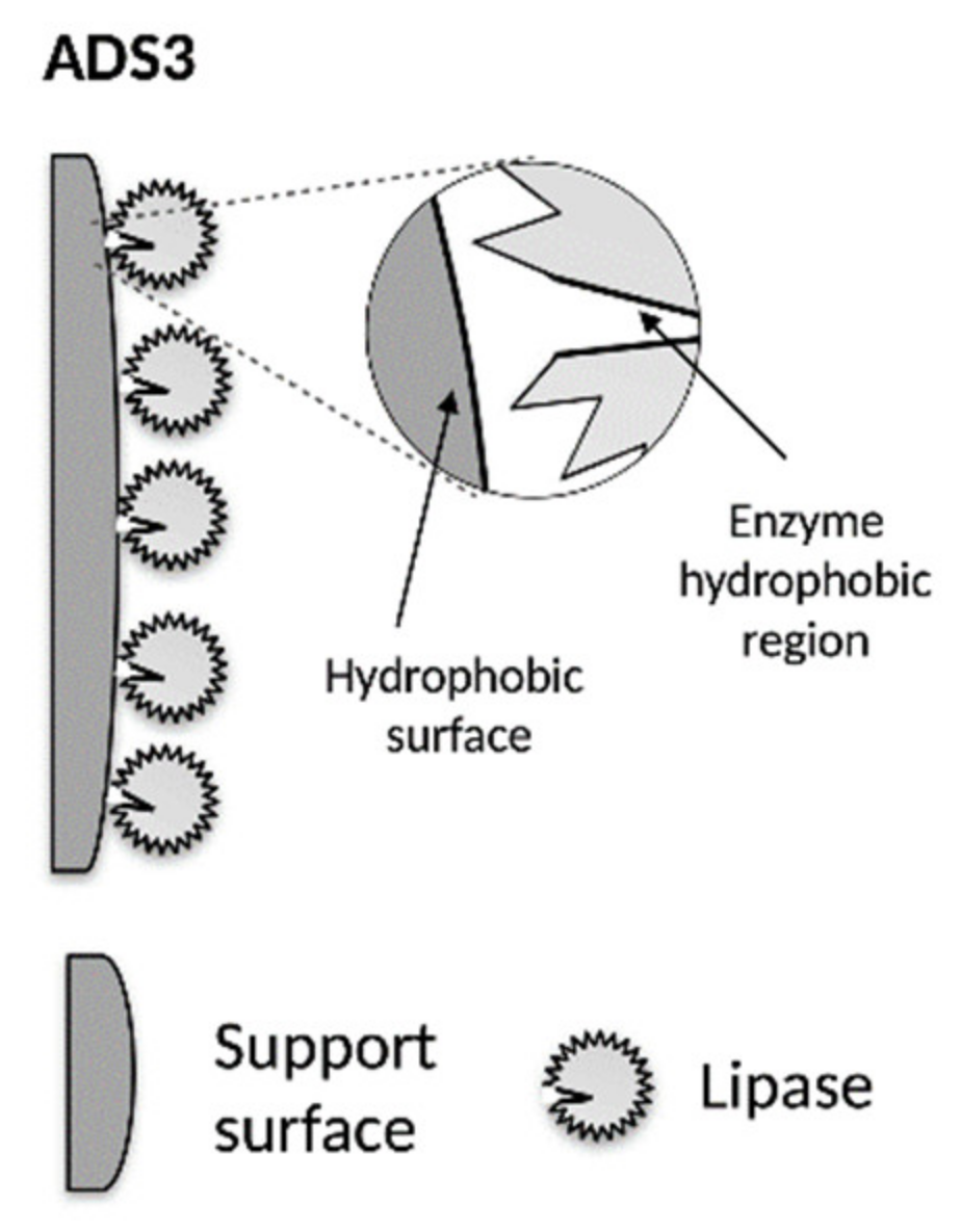 Catalysts 11 01236 g001 Catalysts 11 01236 g001